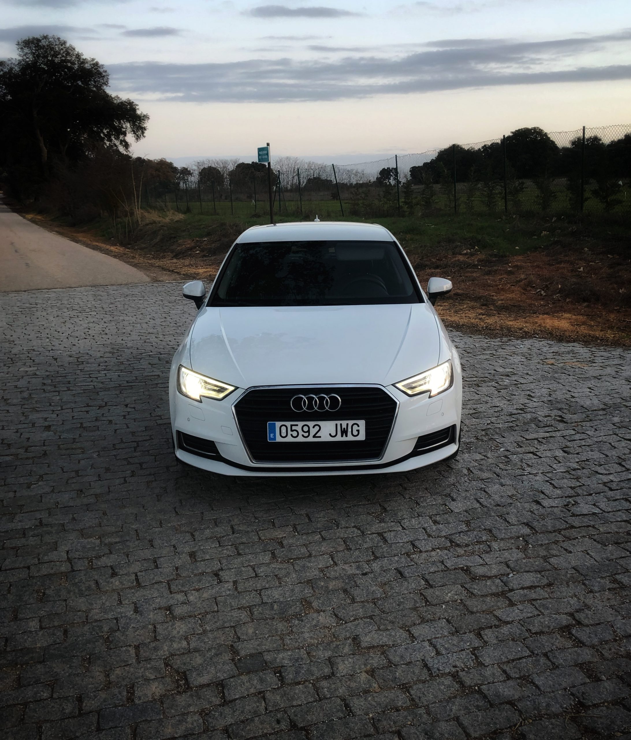 Audi A3 Sportback Design TDI 110cv