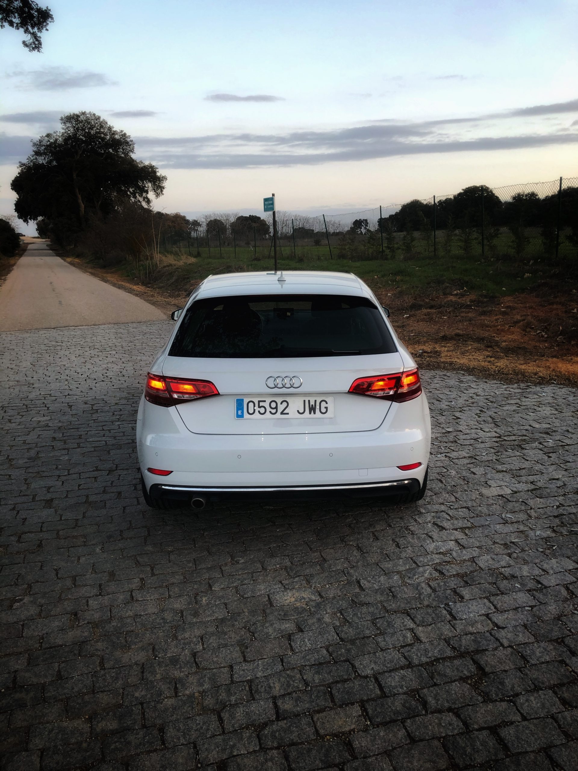 Audi A3 Sportback Design TDI 110cv