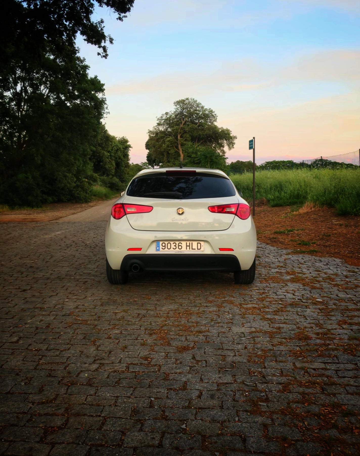 Alfa Romeo Giulietta Distinctive 1.6 JTD 105cv