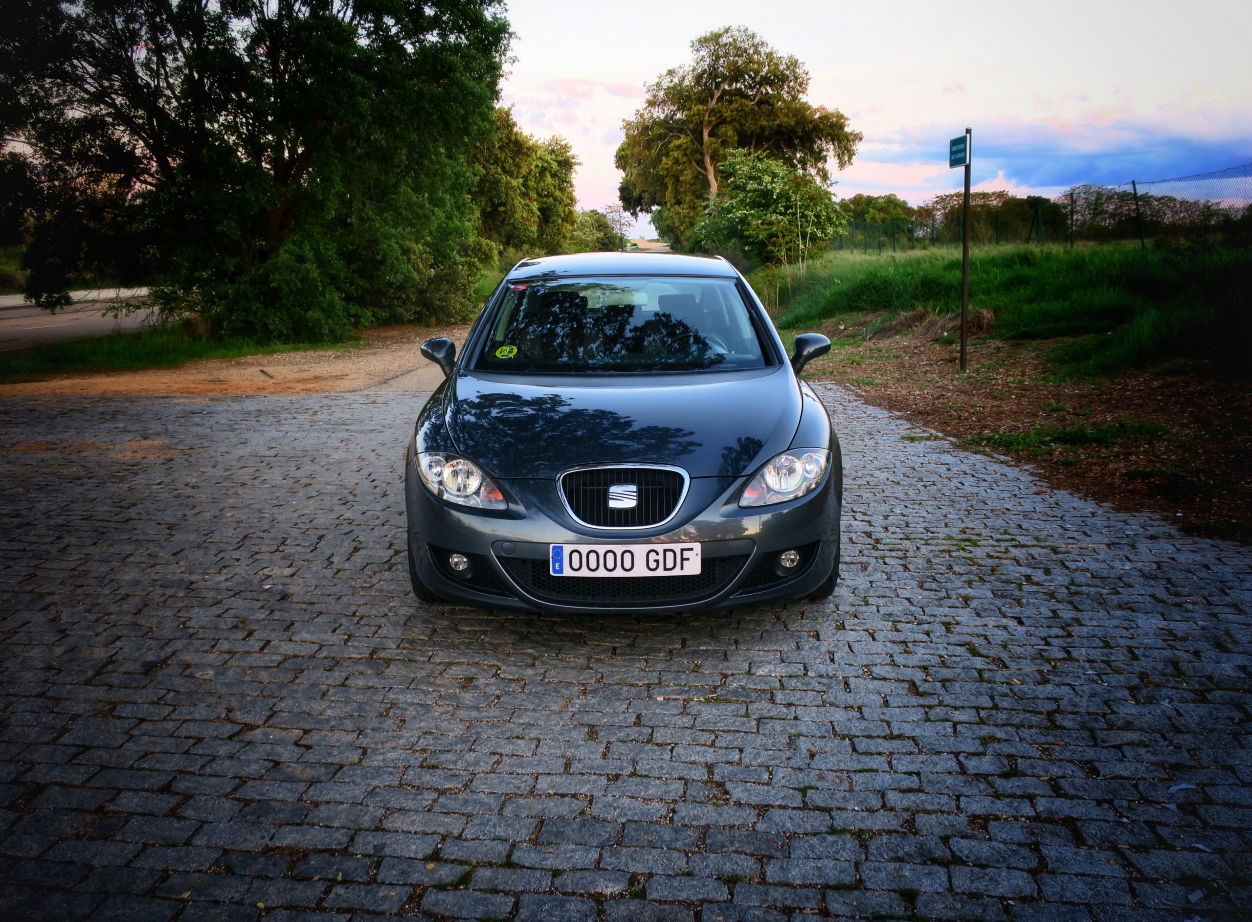Seat Leon Reference 1.9 TDI 105cv