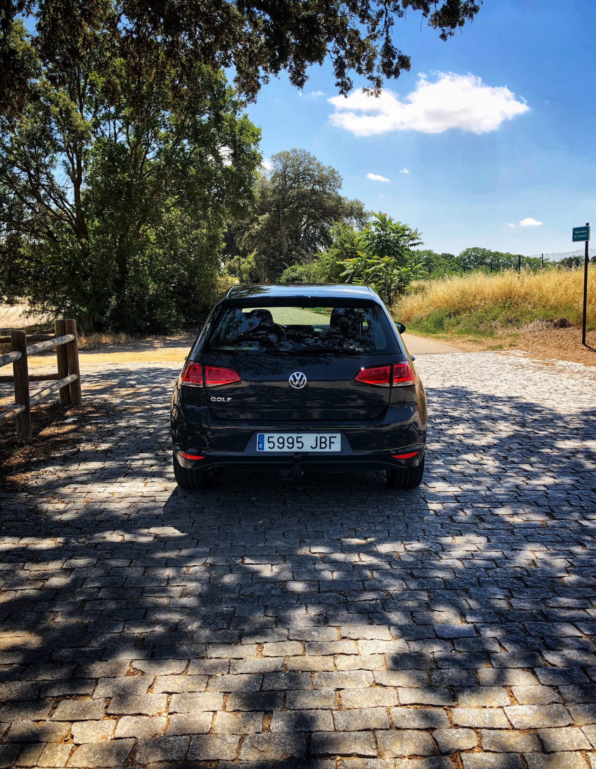 Volkswagen Golf Edition 1.6 TDI 110cv Bluemotion Tech