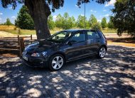 Volkswagen Golf Edition 1.6 TDI 110cv Bluemotion Tech