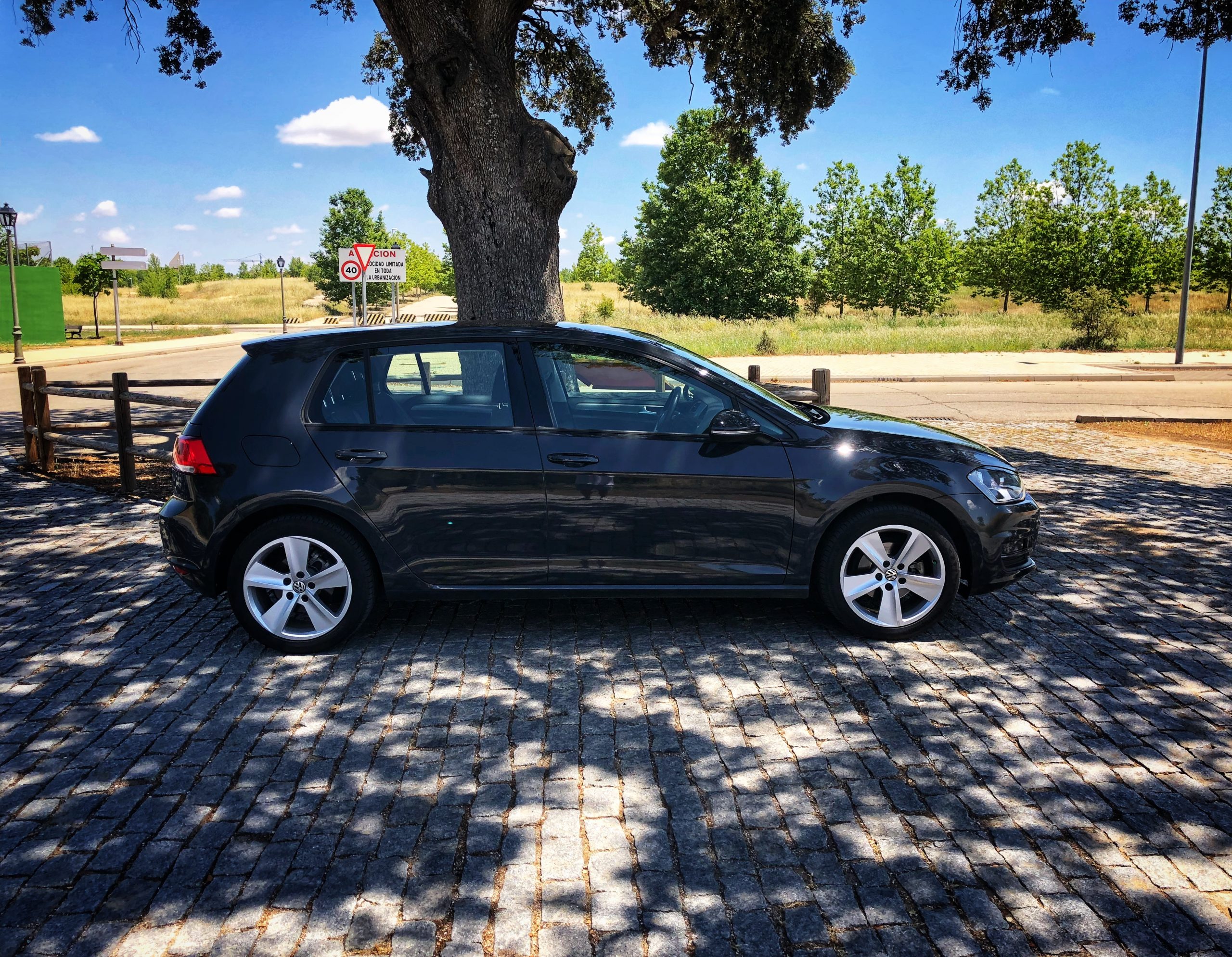 Volkswagen Golf Edition 1.6 TDI 110cv Bluemotion Tech