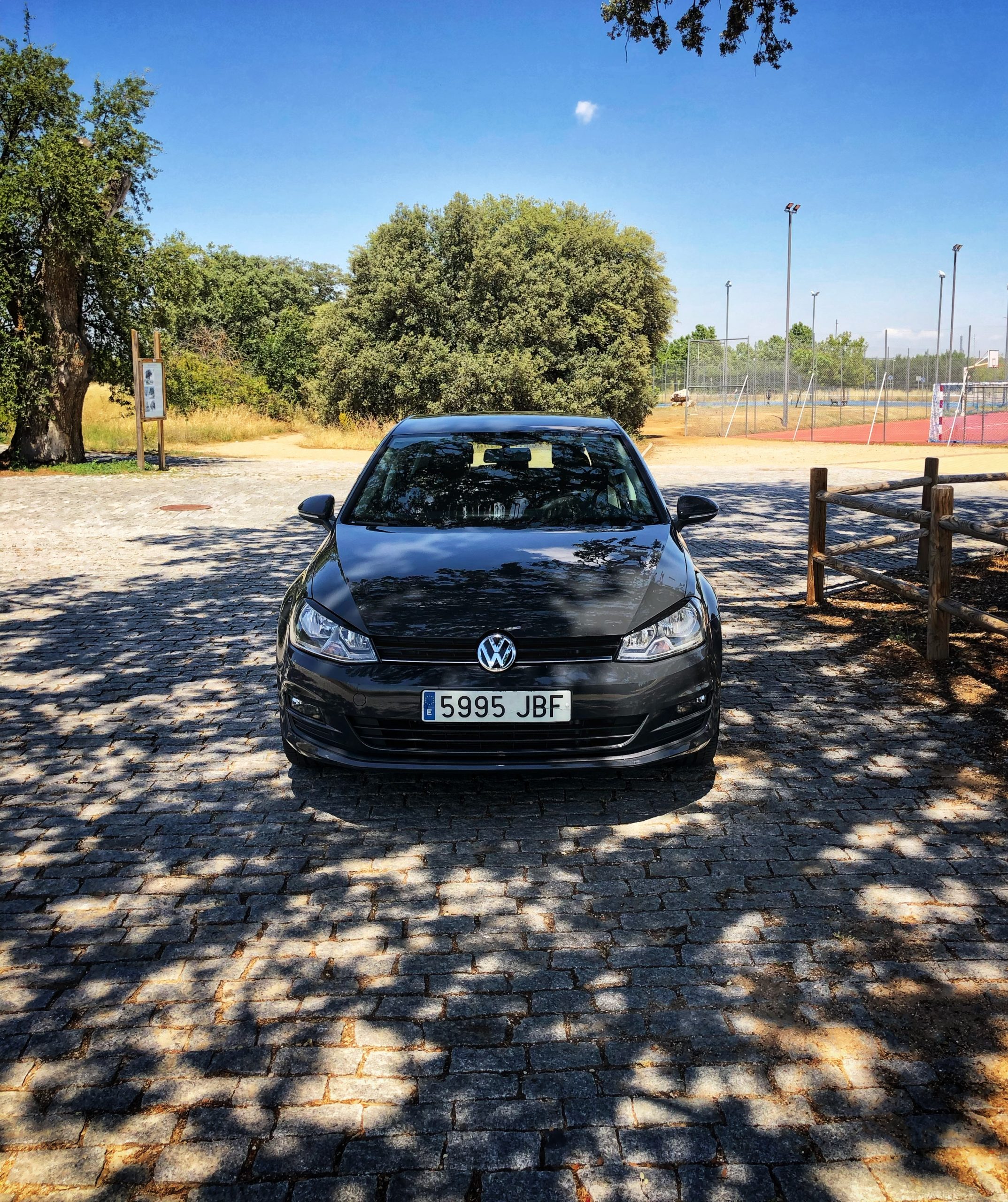 Volkswagen Golf Edition 1.6 TDI 110cv Bluemotion Tech