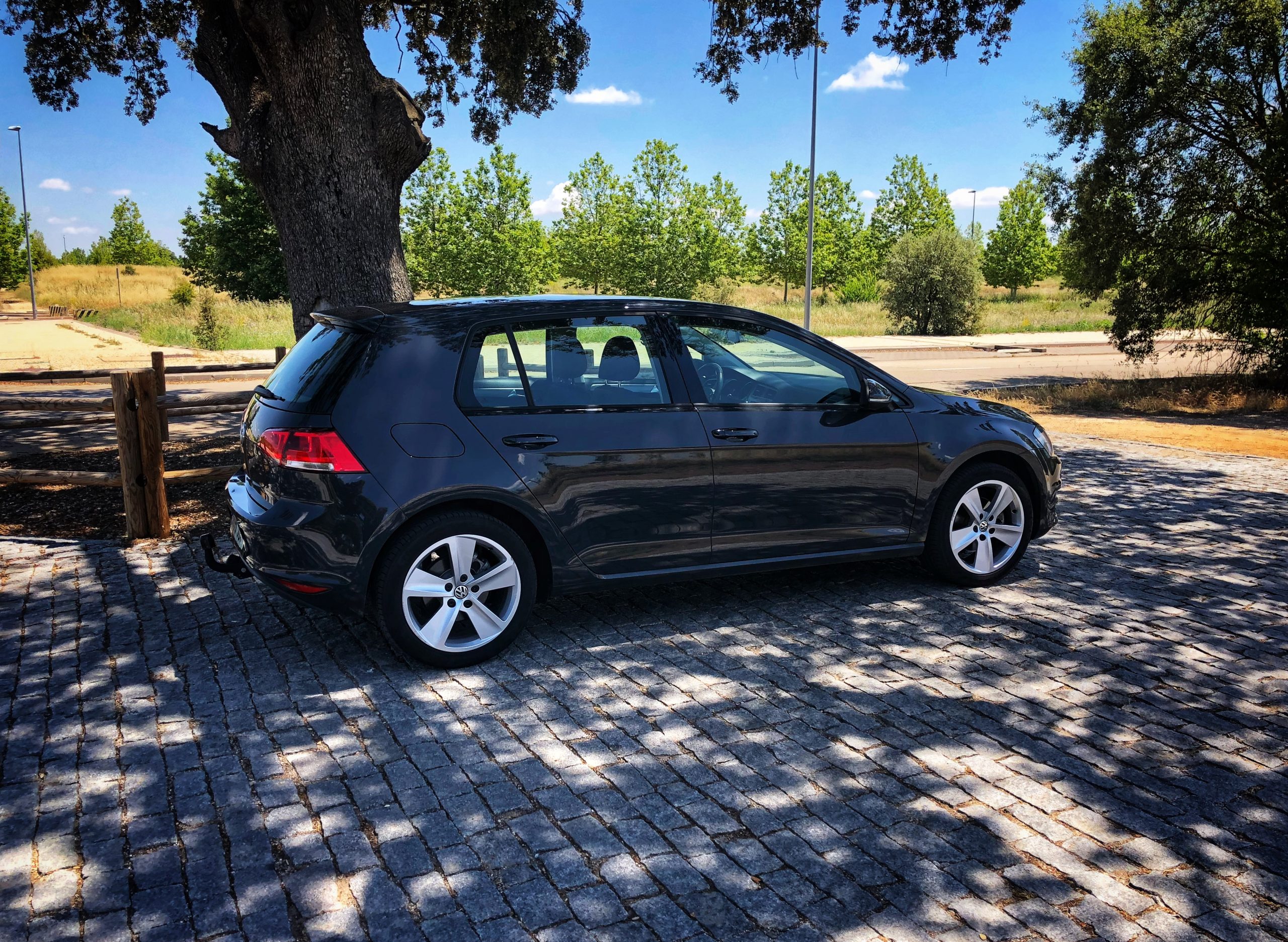 Volkswagen Golf Edition 1.6 TDI 110cv Bluemotion Tech