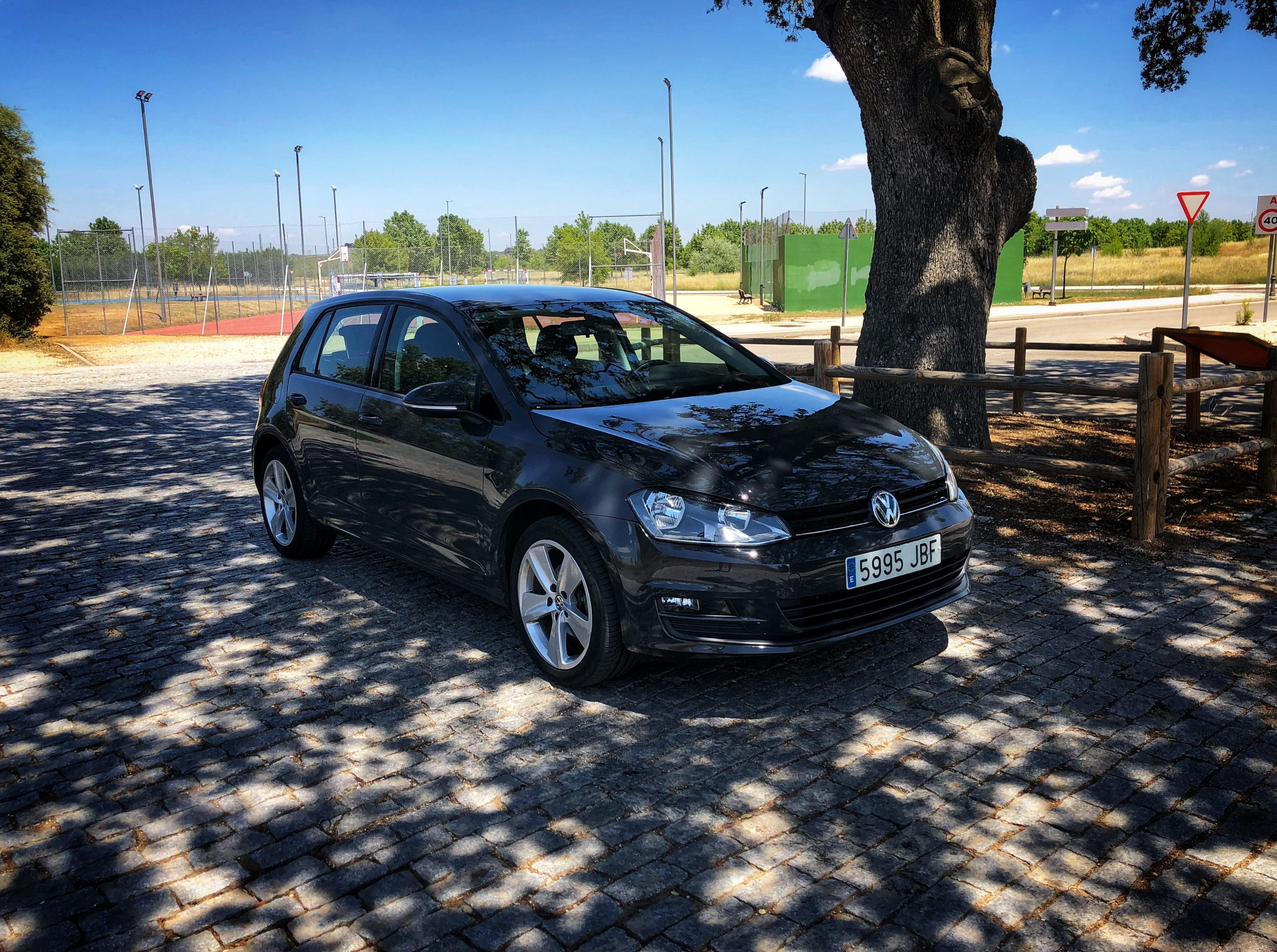 Volkswagen Golf Edition 1.6 TDI 110cv Bluemotion Tech