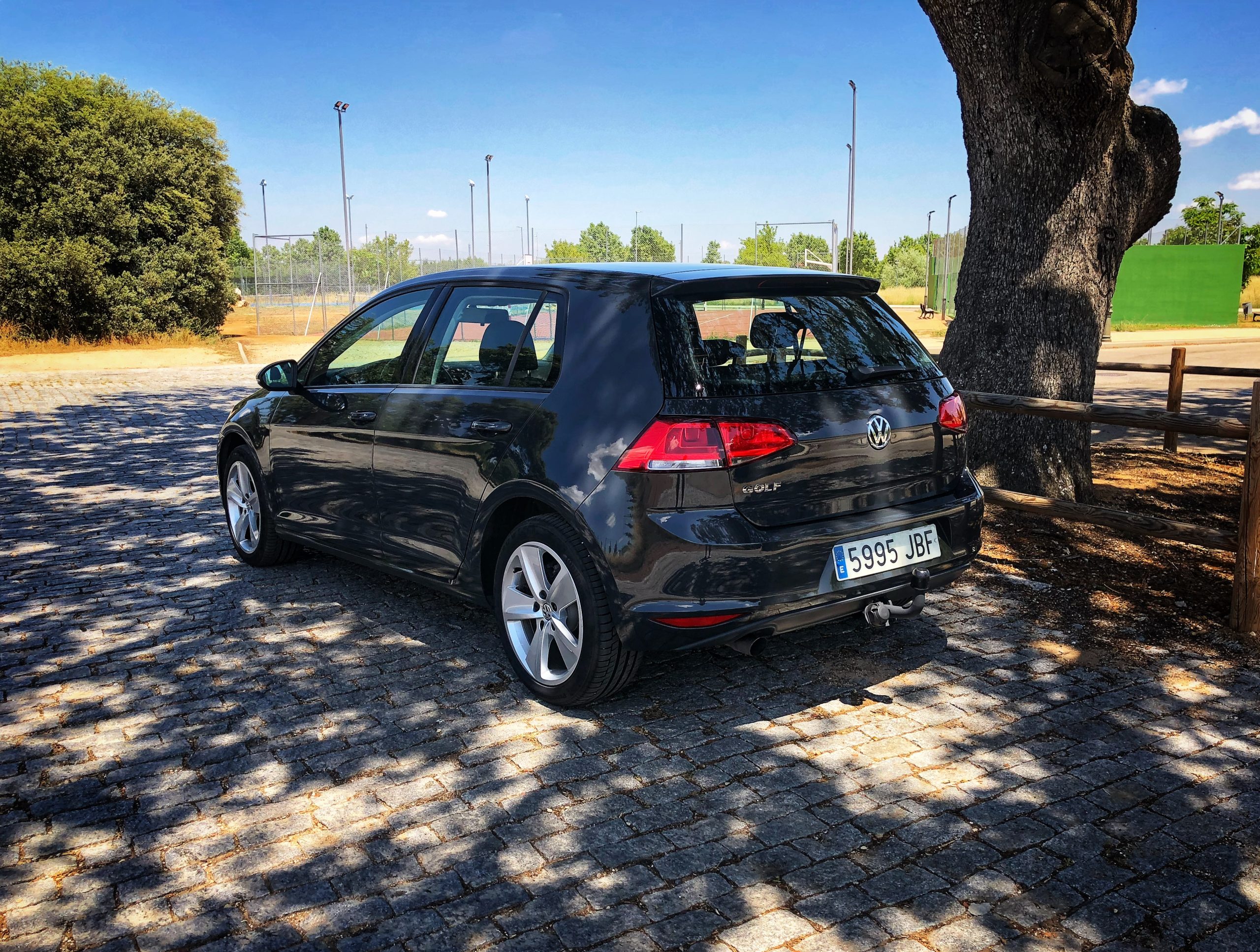 Volkswagen Golf Edition 1.6 TDI 110cv Bluemotion Tech