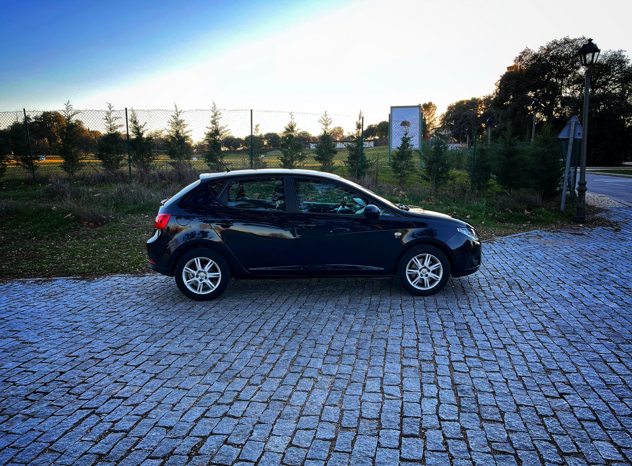 Seat Ibiza Style 1.9 TDI 105cv