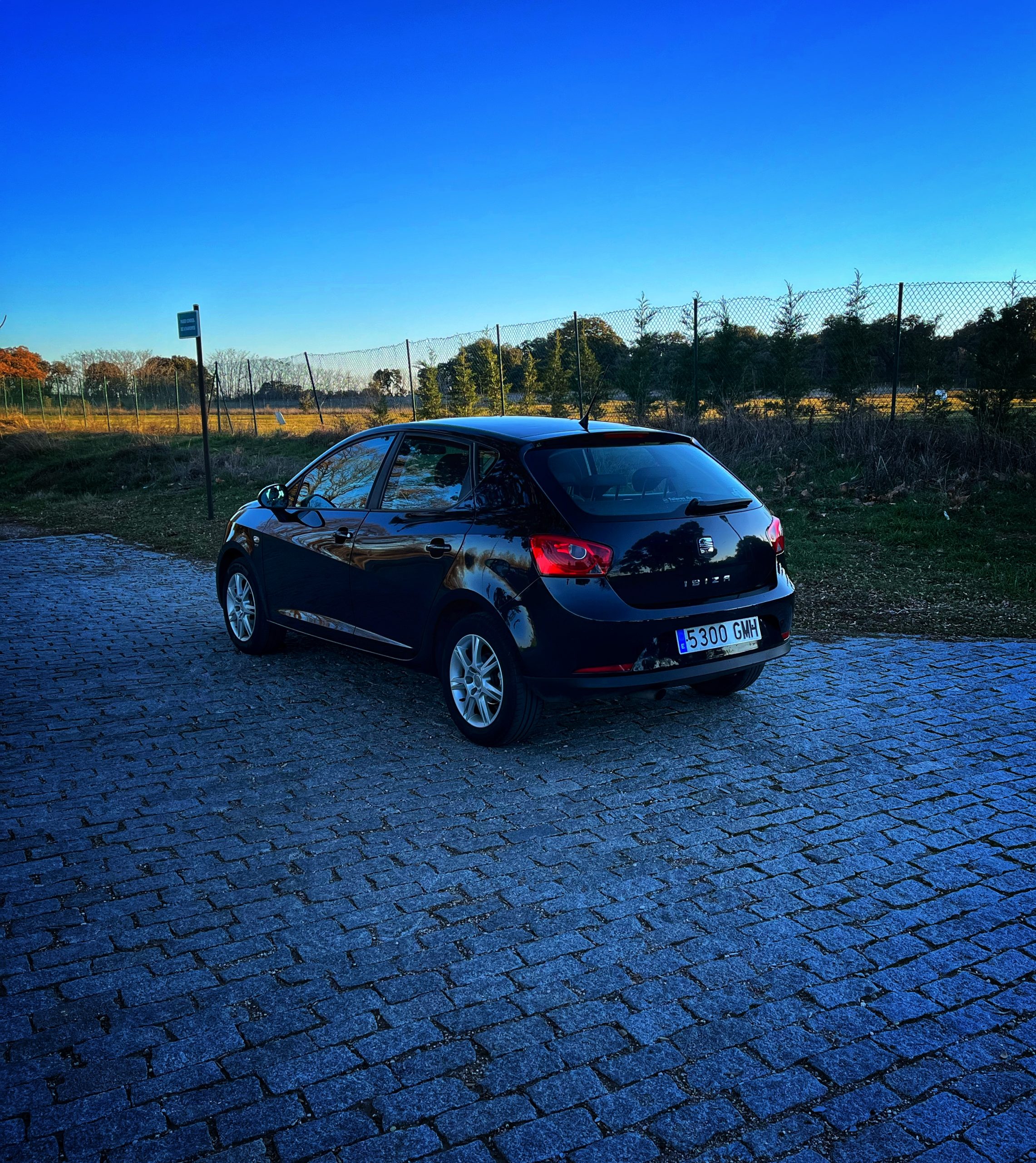 Seat Ibiza Style 1.9 TDI 105cv