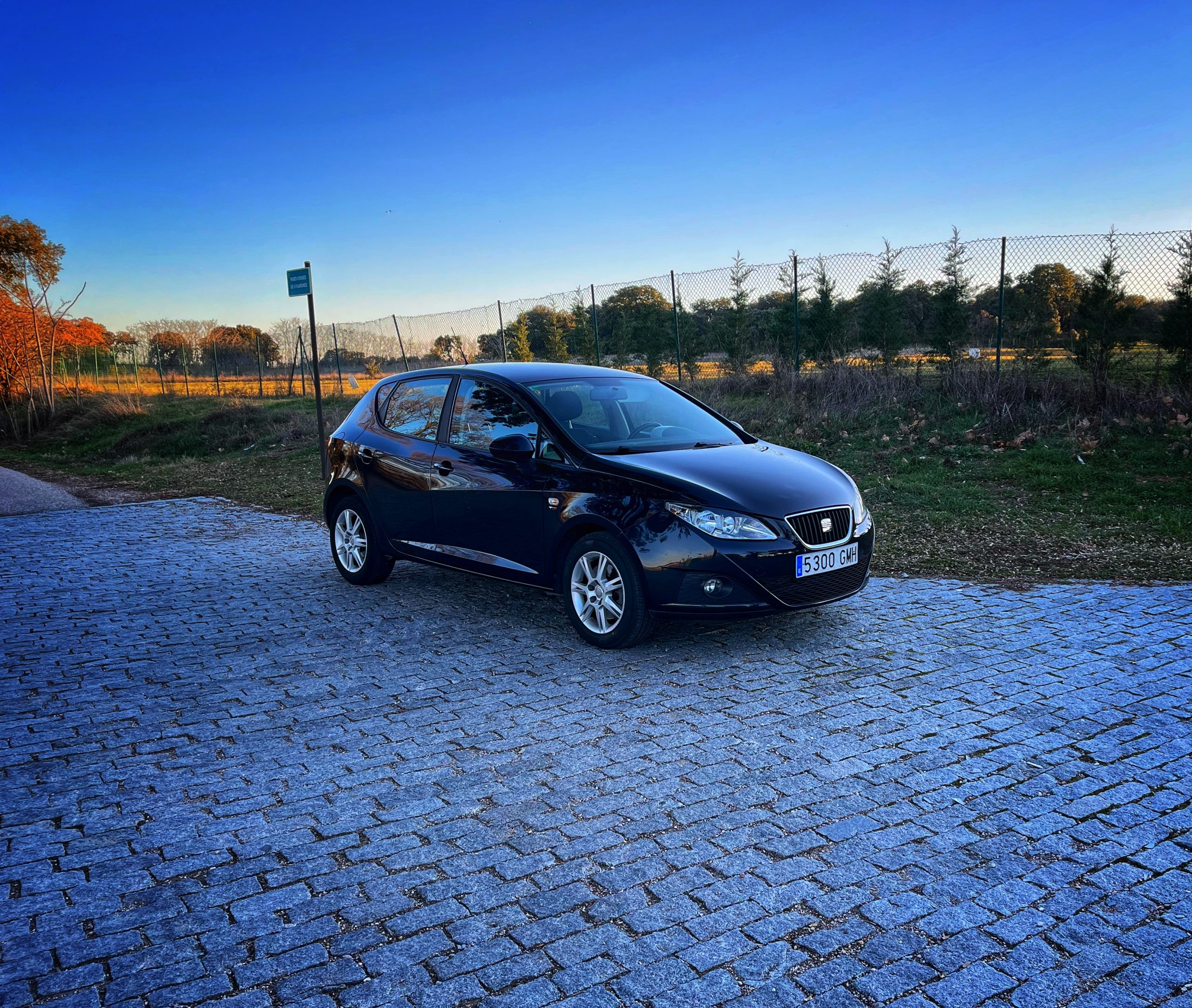 Seat Ibiza Style 1.9 TDI 105cv