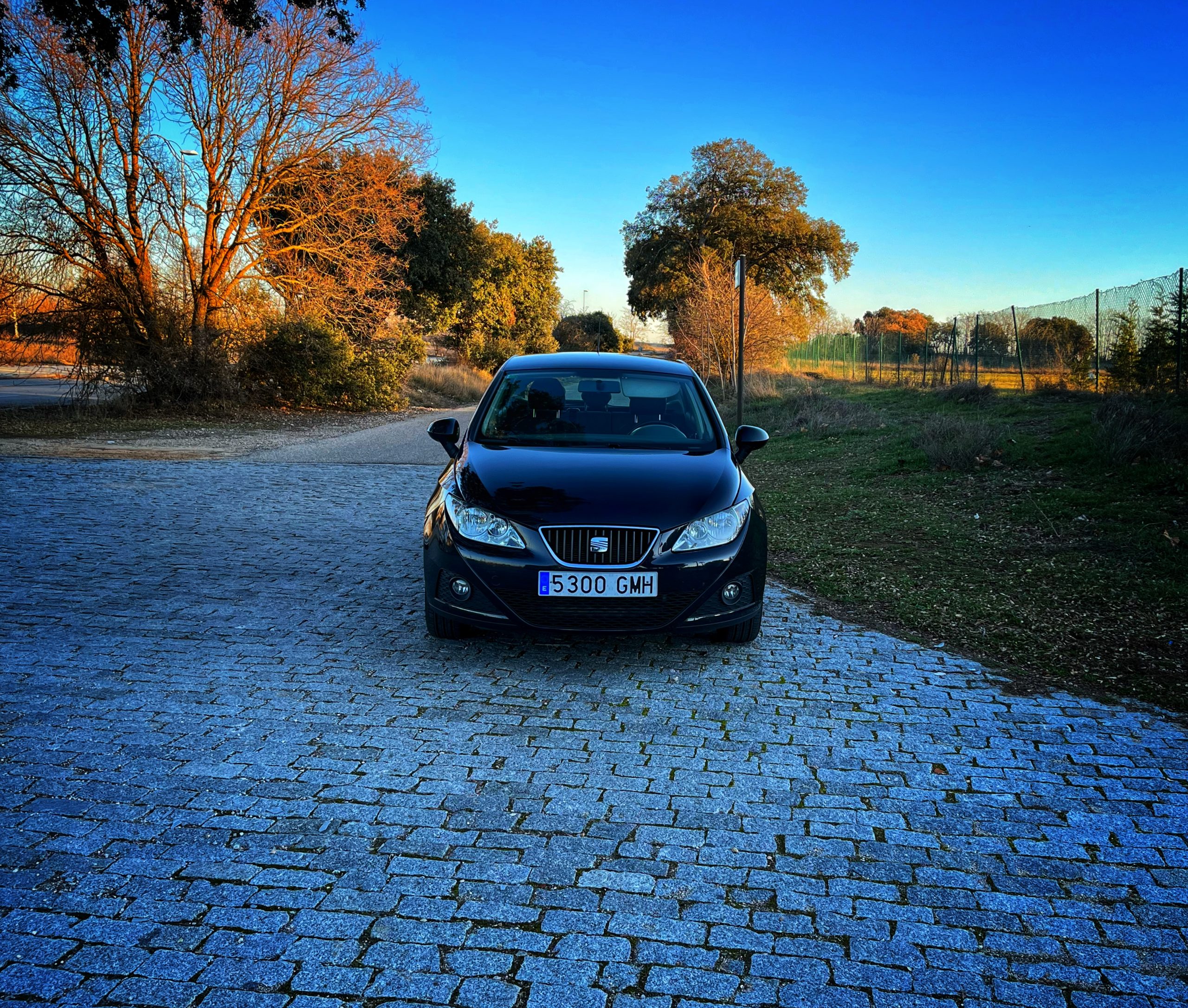Seat Ibiza Style 1.9 TDI 105cv