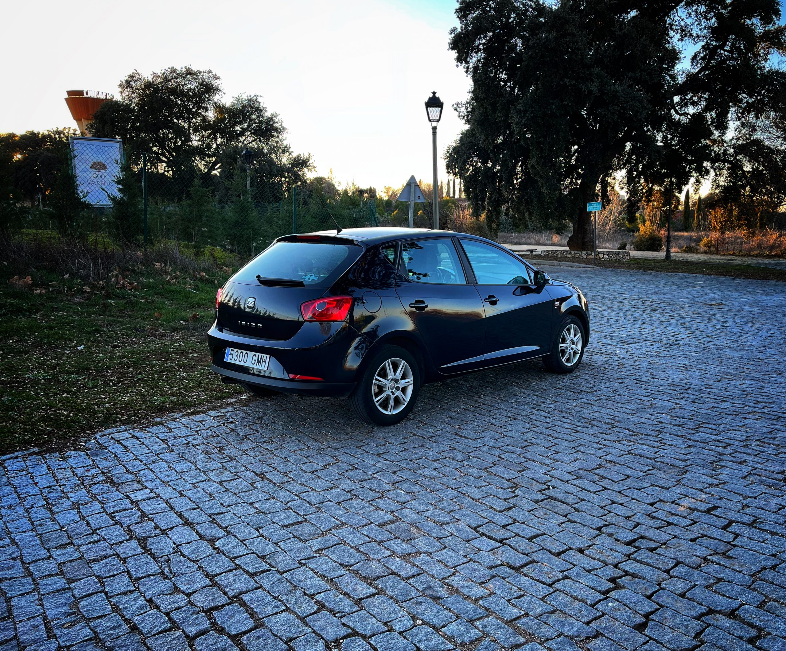 Seat Ibiza Style 1.9 TDI 105cv