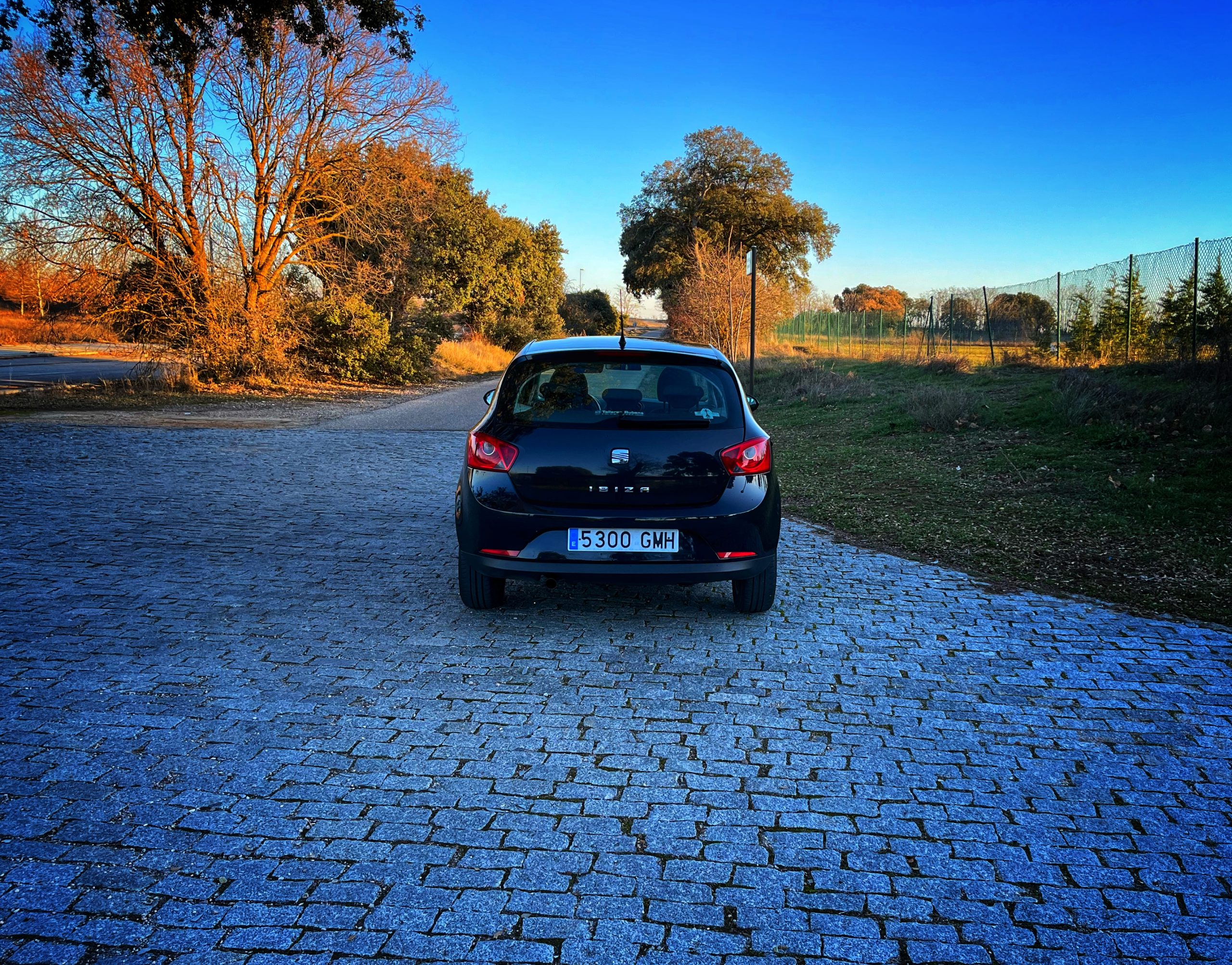 Seat Ibiza Style 1.9 TDI 105cv