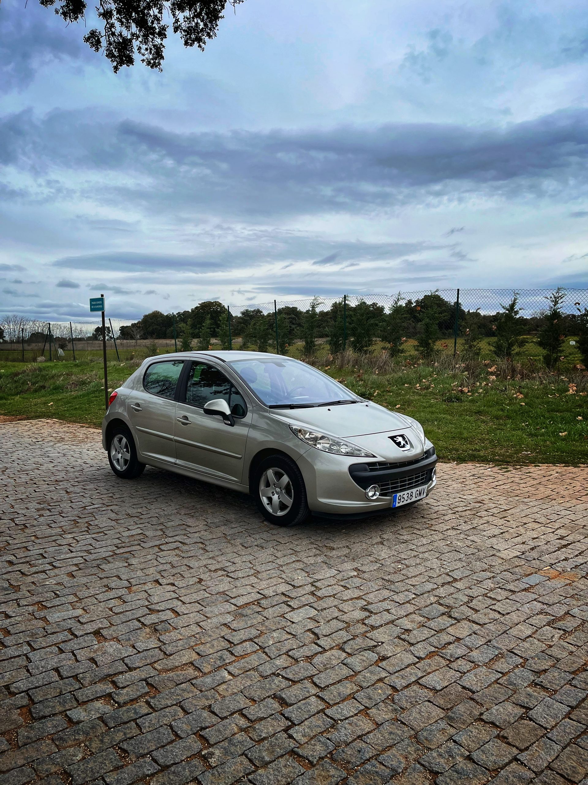 Peugeot 207 Sport 1.4 VTi 95cv