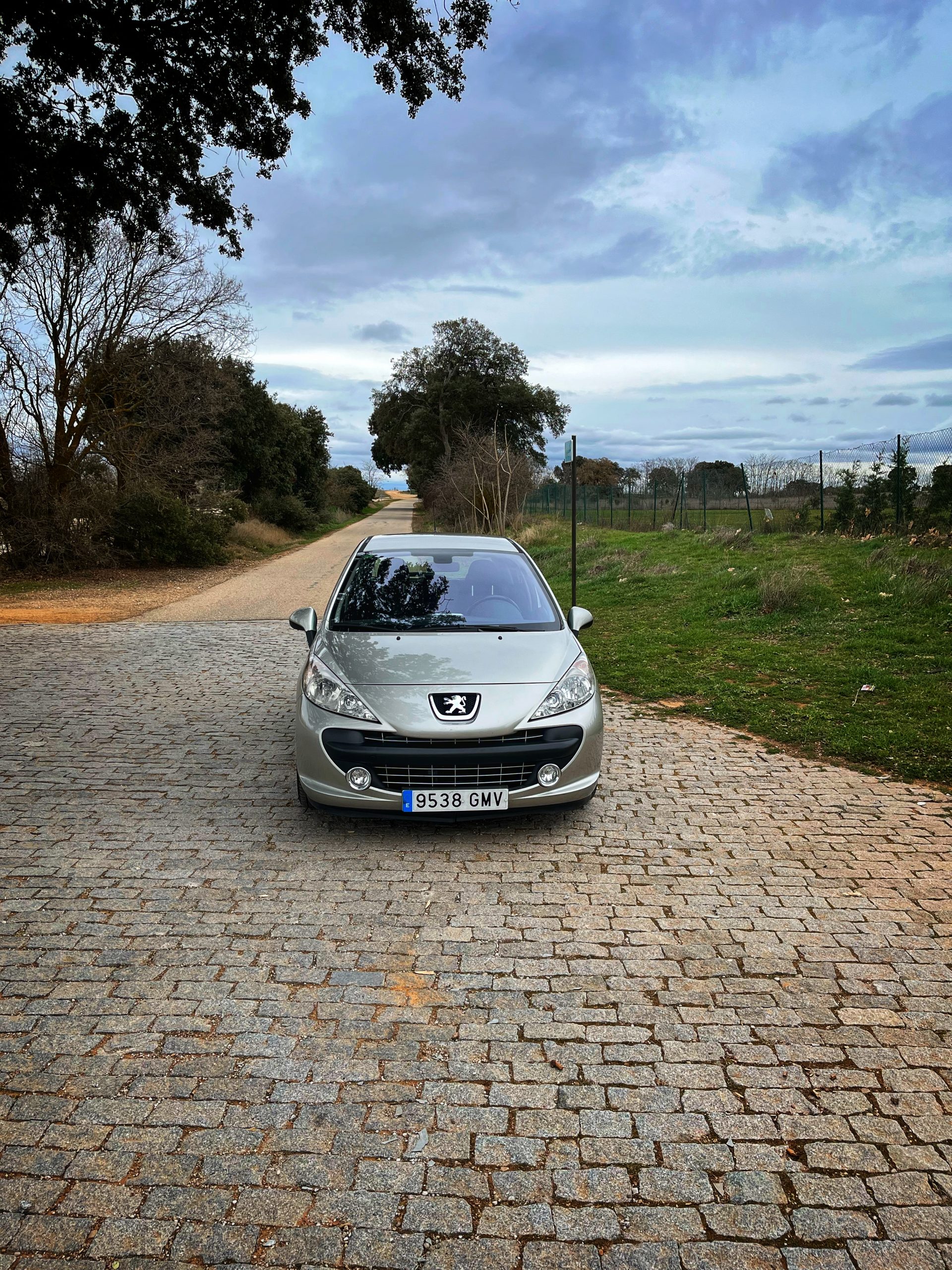 Peugeot 207 Sport 1.4 VTi 95cv