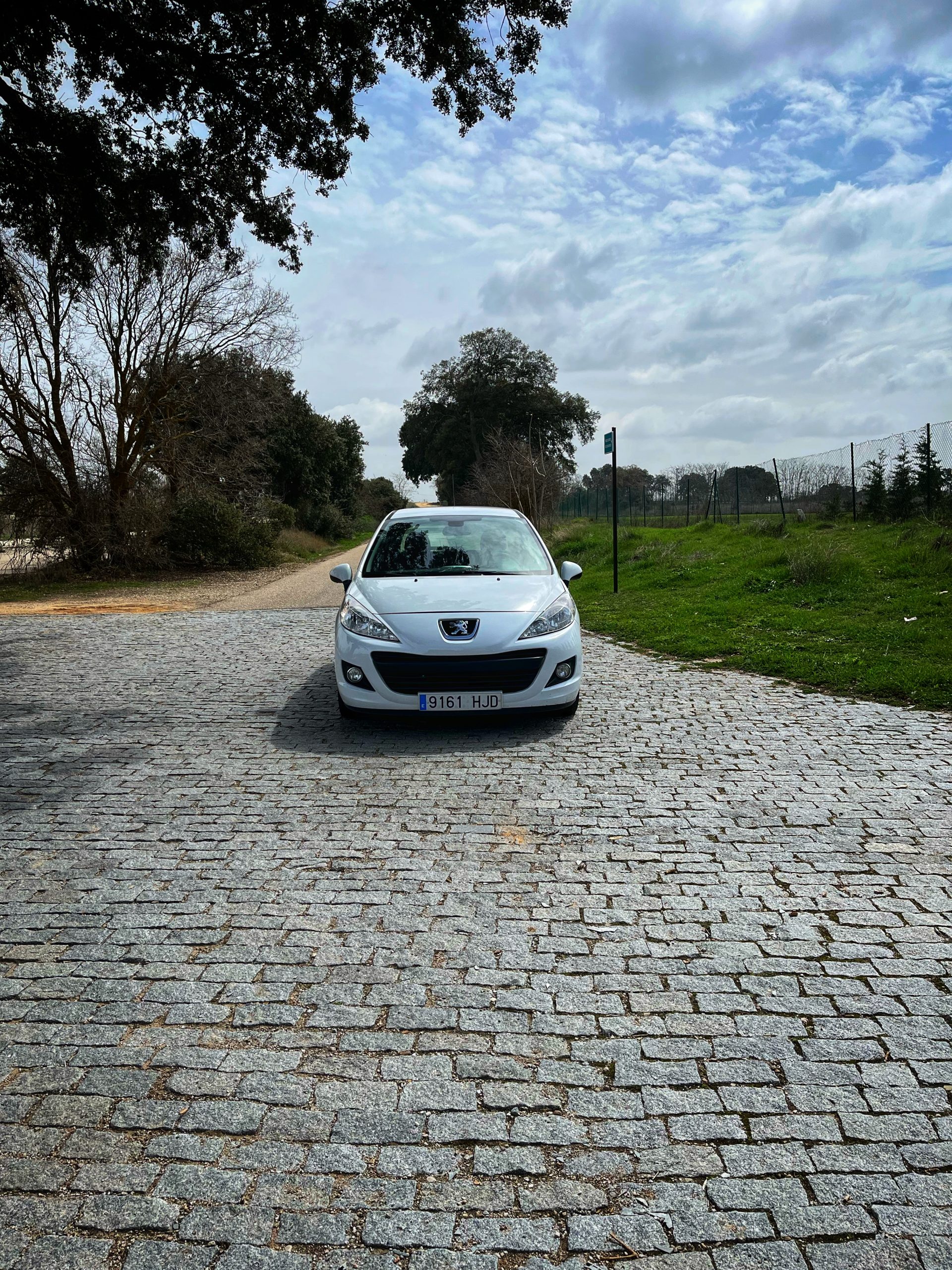 Peugeot 207 Sport 1.6 HDI 92cv