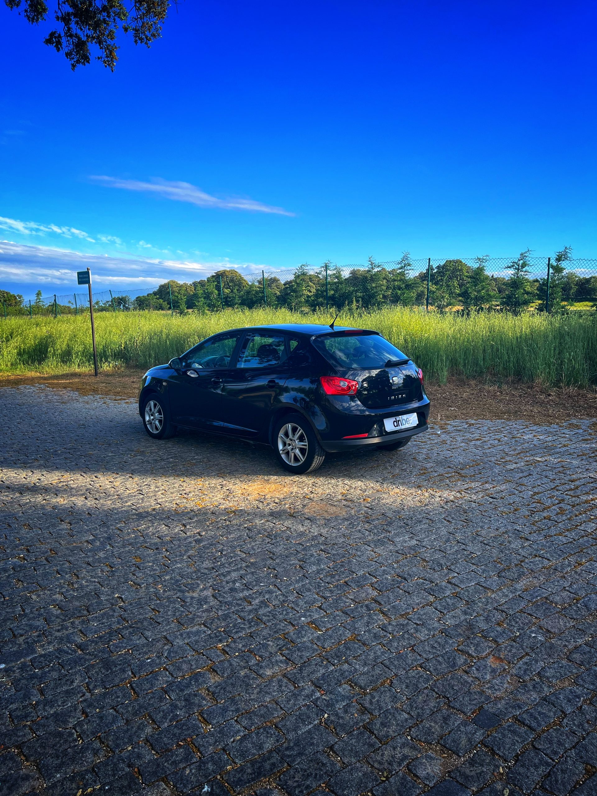 Seat Ibiza Style 1.6 TDI 90cv