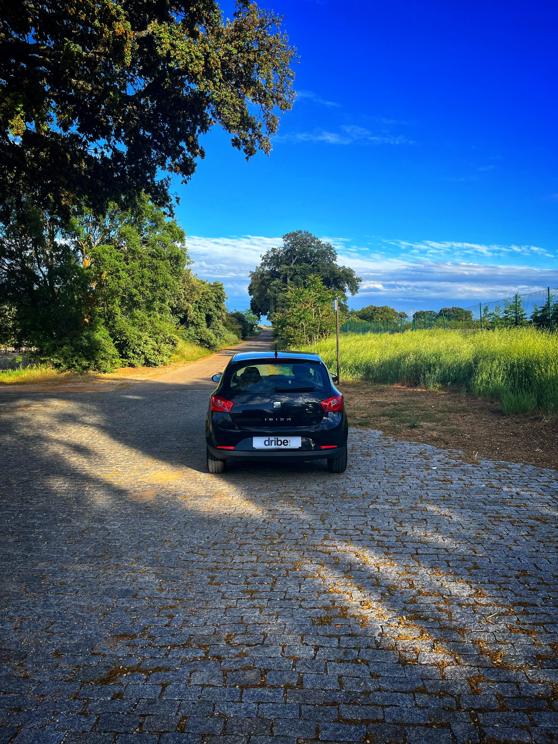 Seat Ibiza Style 1.6 TDI 90cv