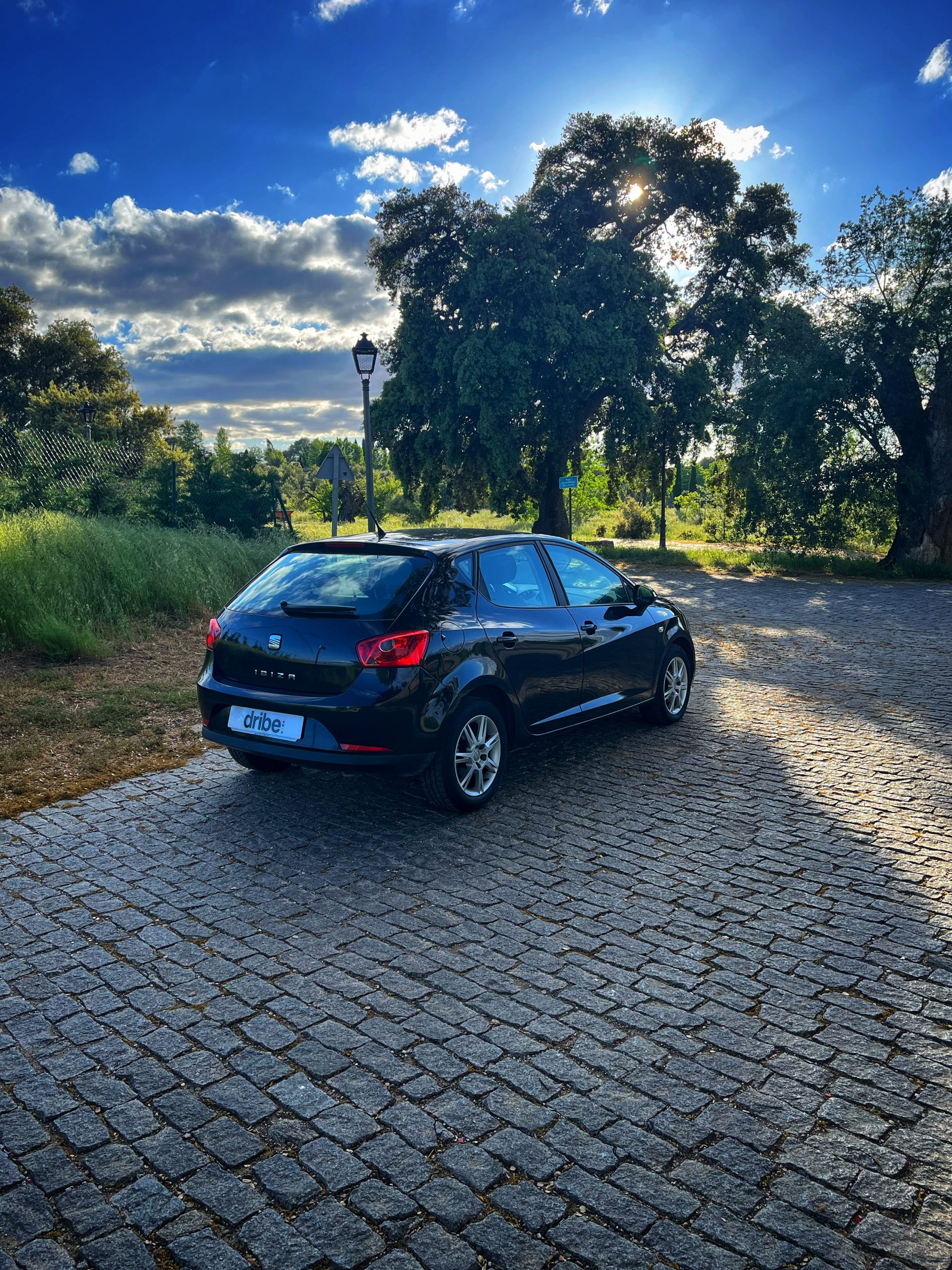 Seat Ibiza Style 1.6 TDI 90cv