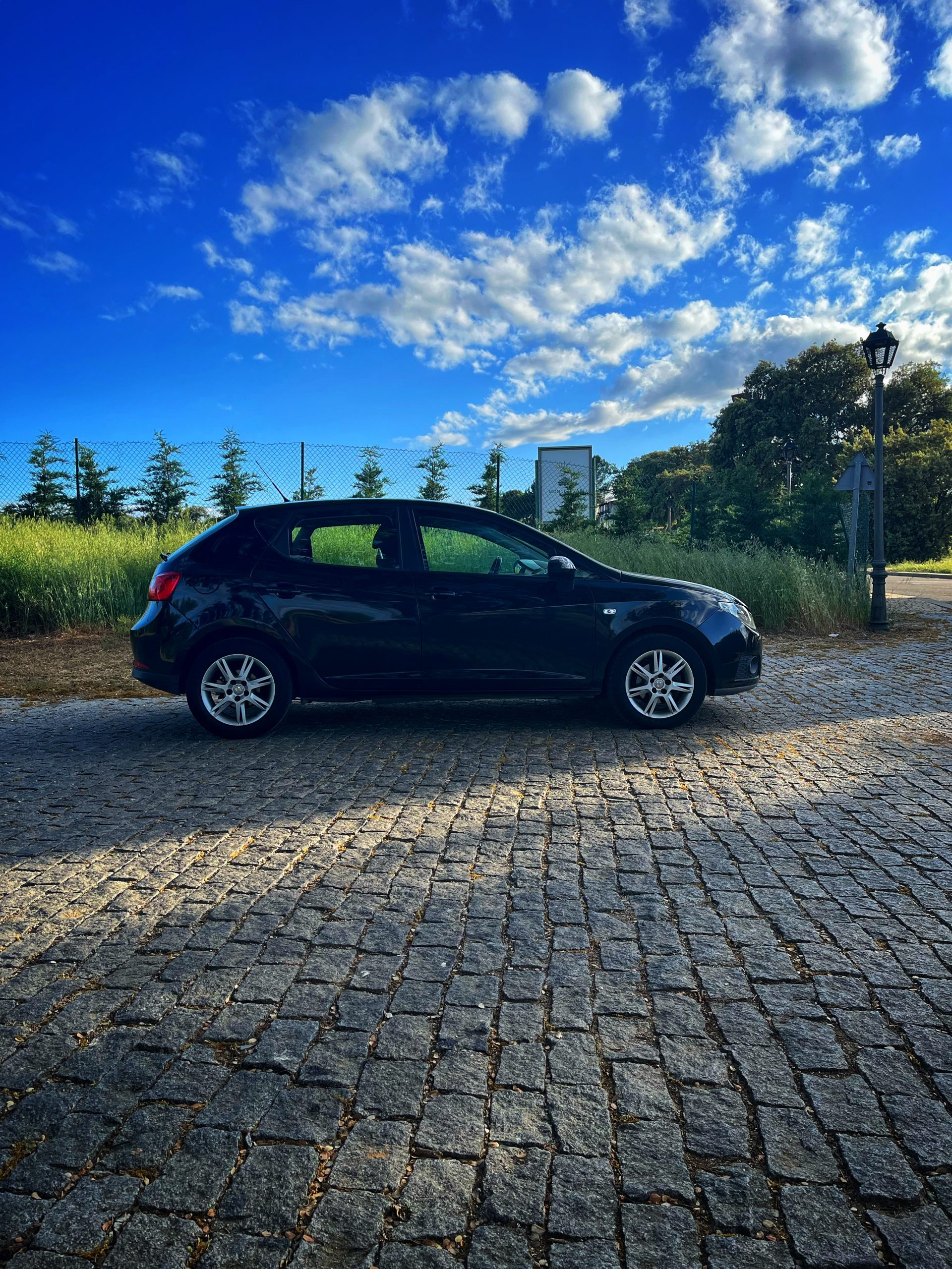 Seat Ibiza Style 1.6 TDI 90cv