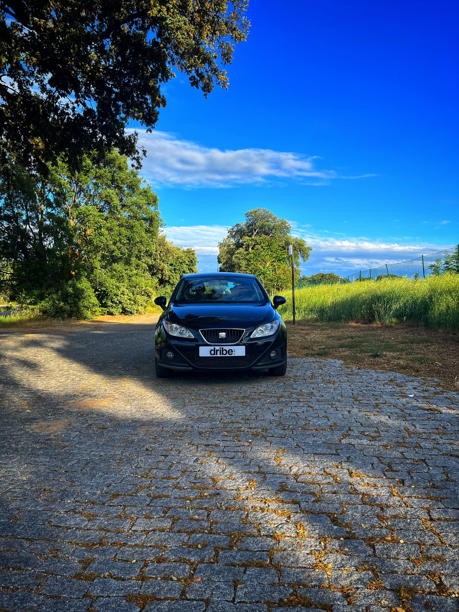 Seat Ibiza Style 1.6 TDI 90cv