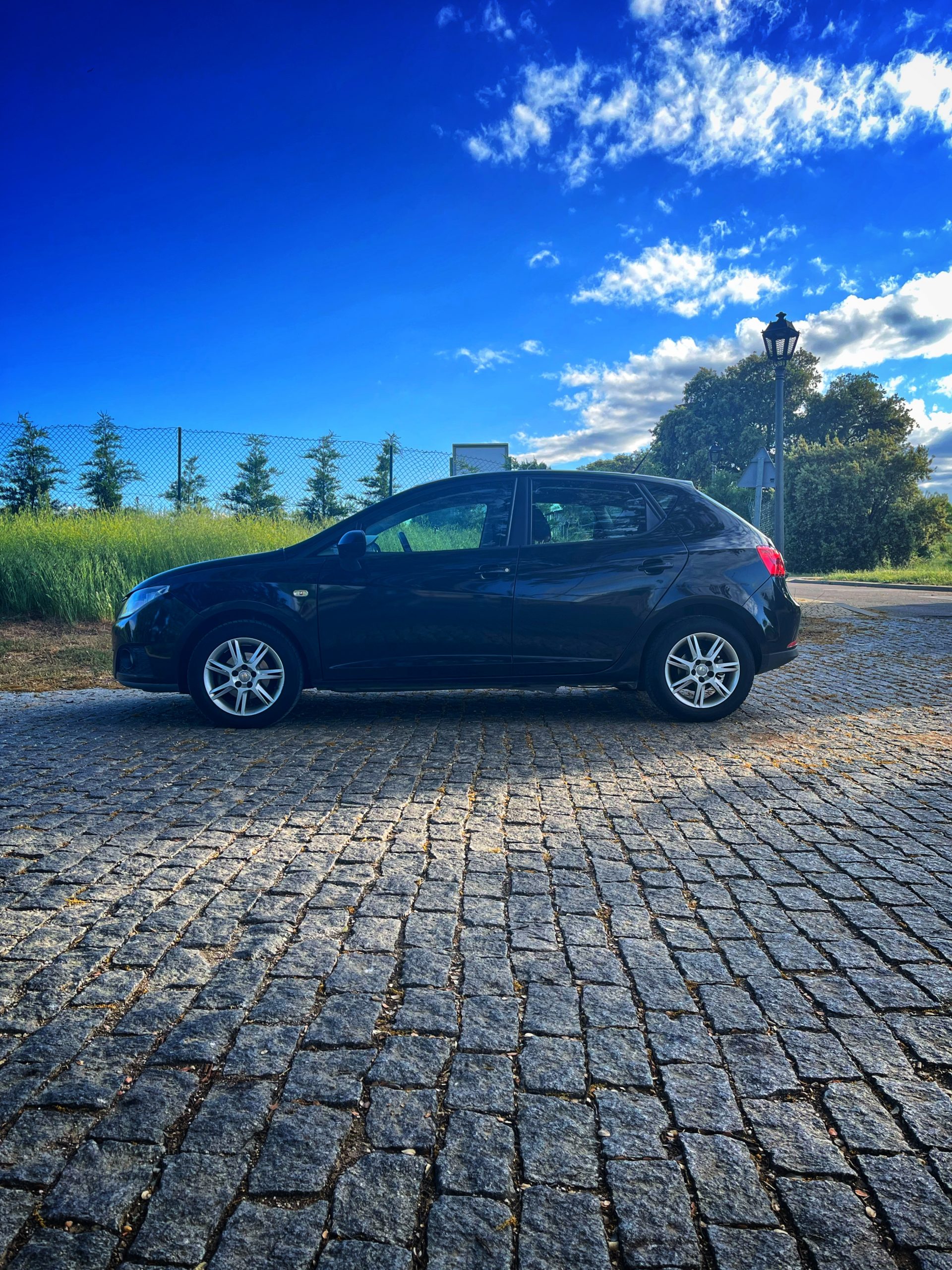 Seat Ibiza Style 1.6 TDI 90cv