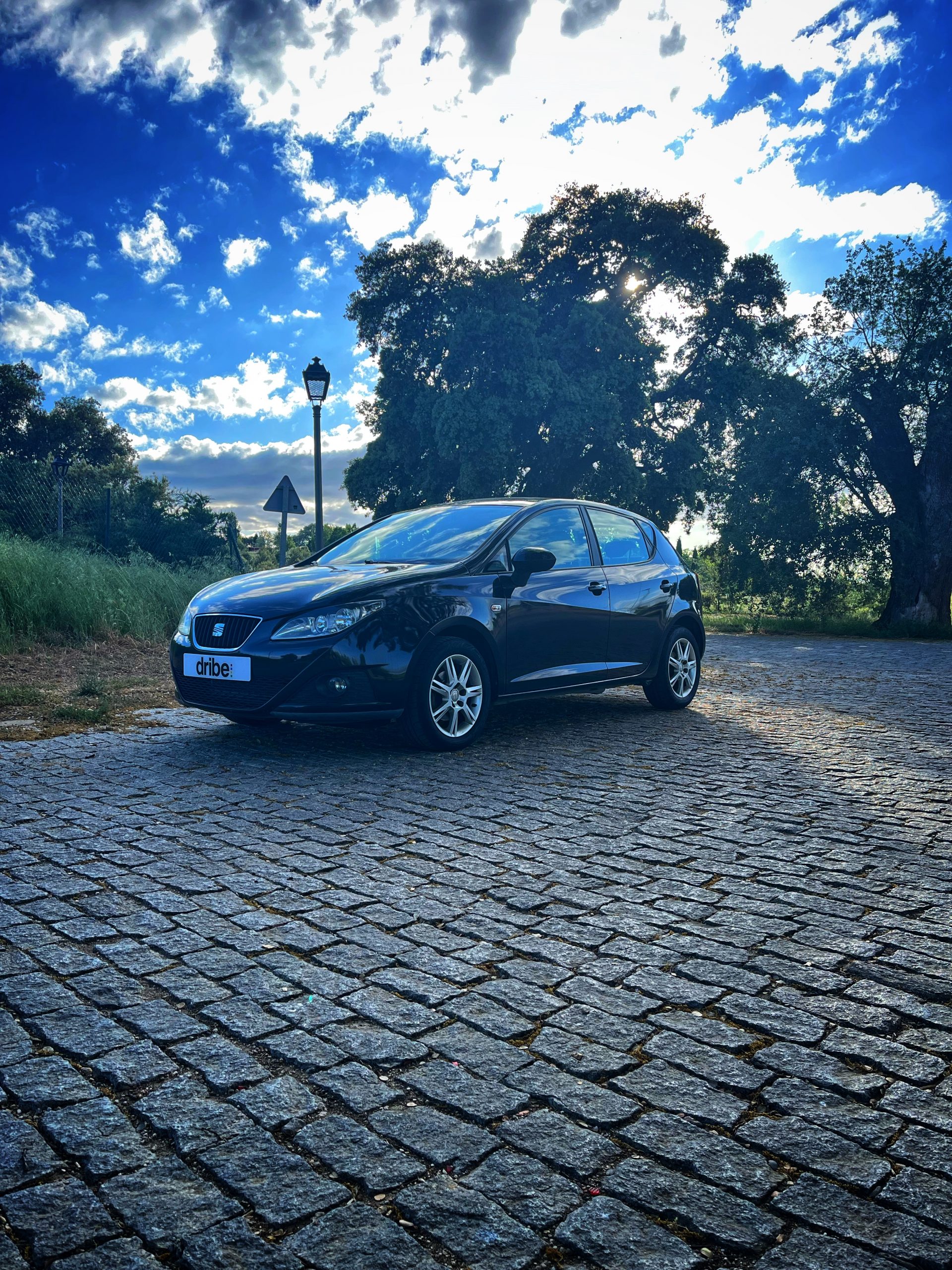 Seat Ibiza Style 1.6 TDI 90cv