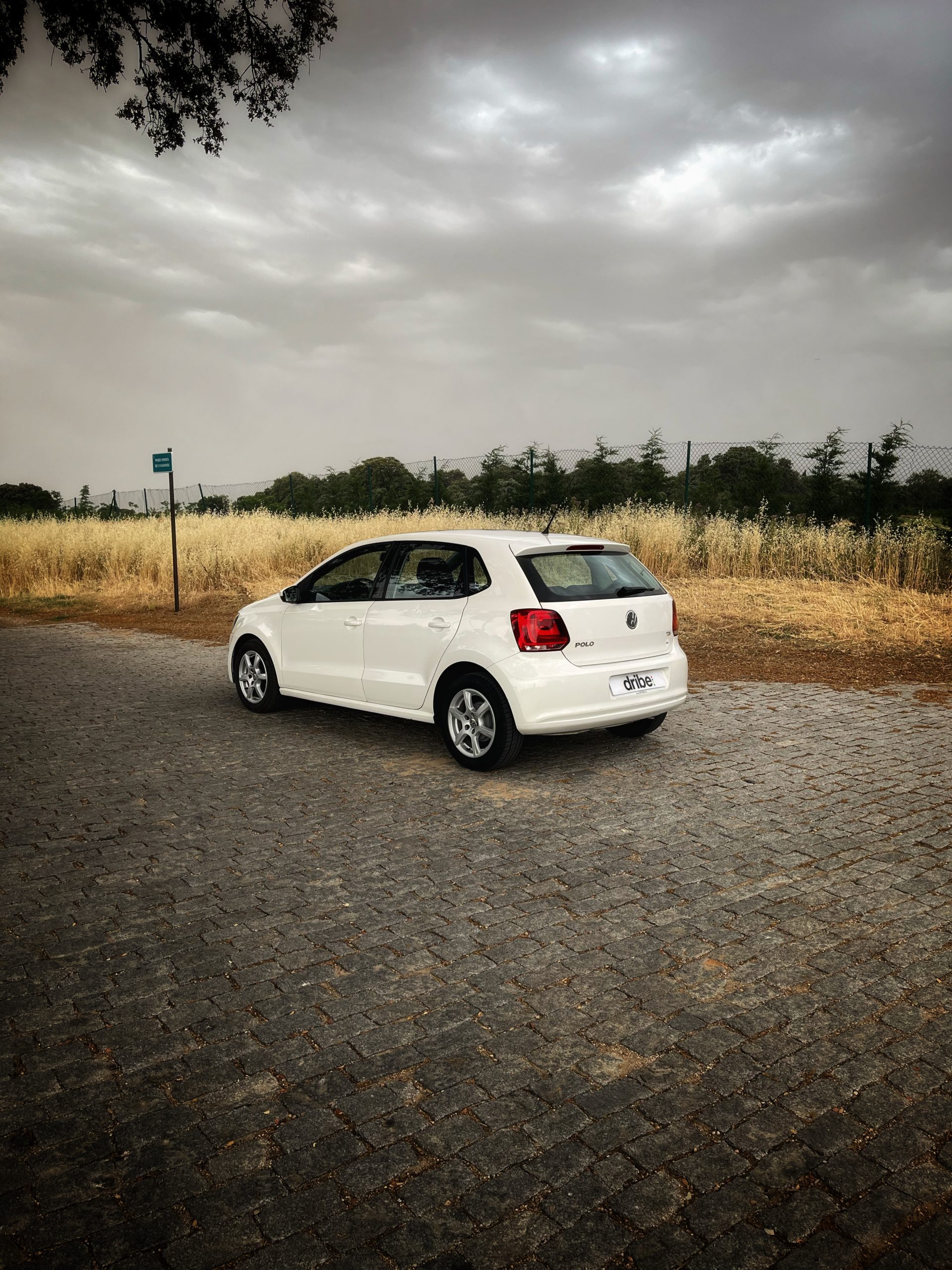 Volkswagen Polo Advance 1.2 TDI 75cv