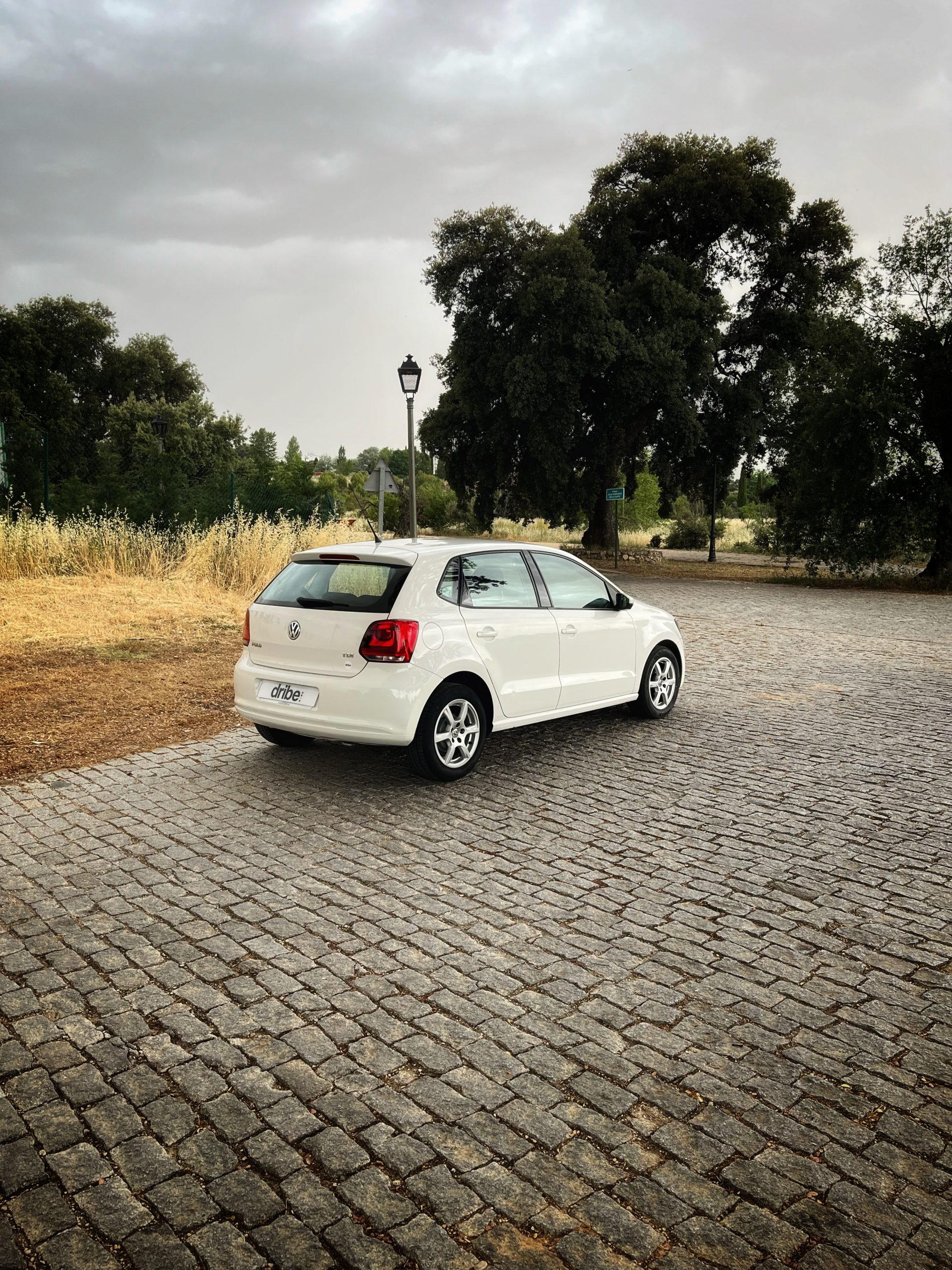 Volkswagen Polo Advance 1.2 TDI 75cv