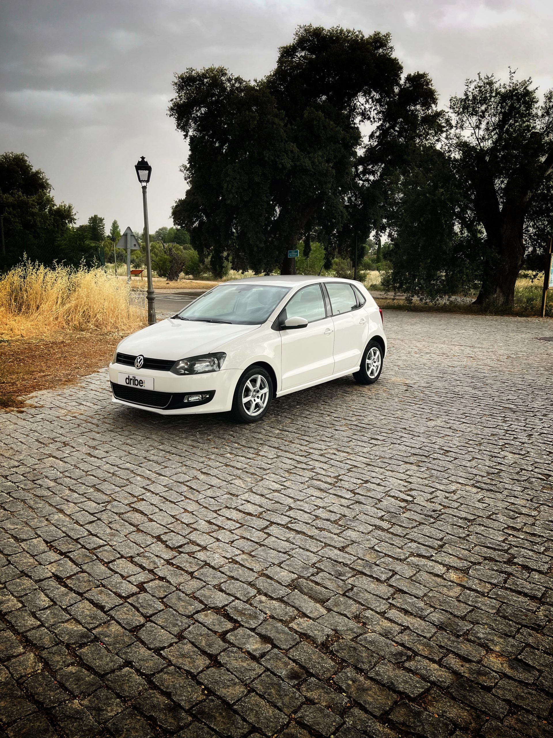 Volkswagen Polo Advance 1.2 TDI 75cv
