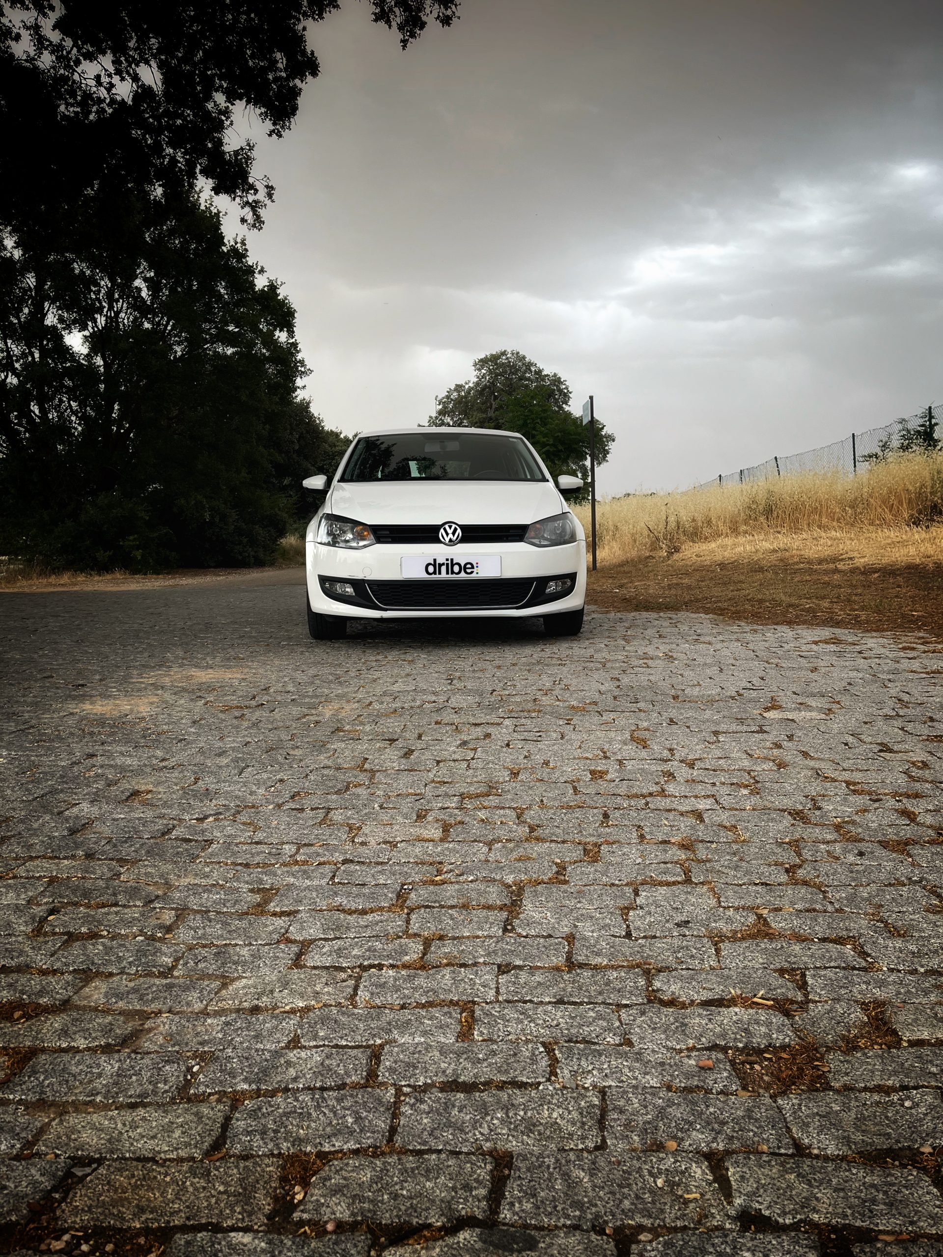 Volkswagen Polo Advance 1.2 TDI 75cv