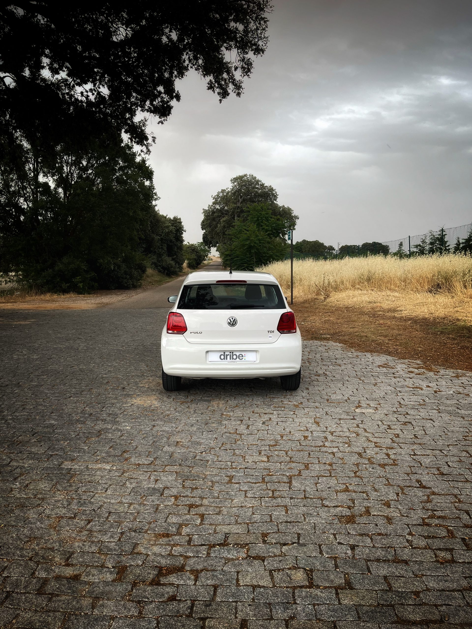 Volkswagen Polo Advance 1.2 TDI 75cv