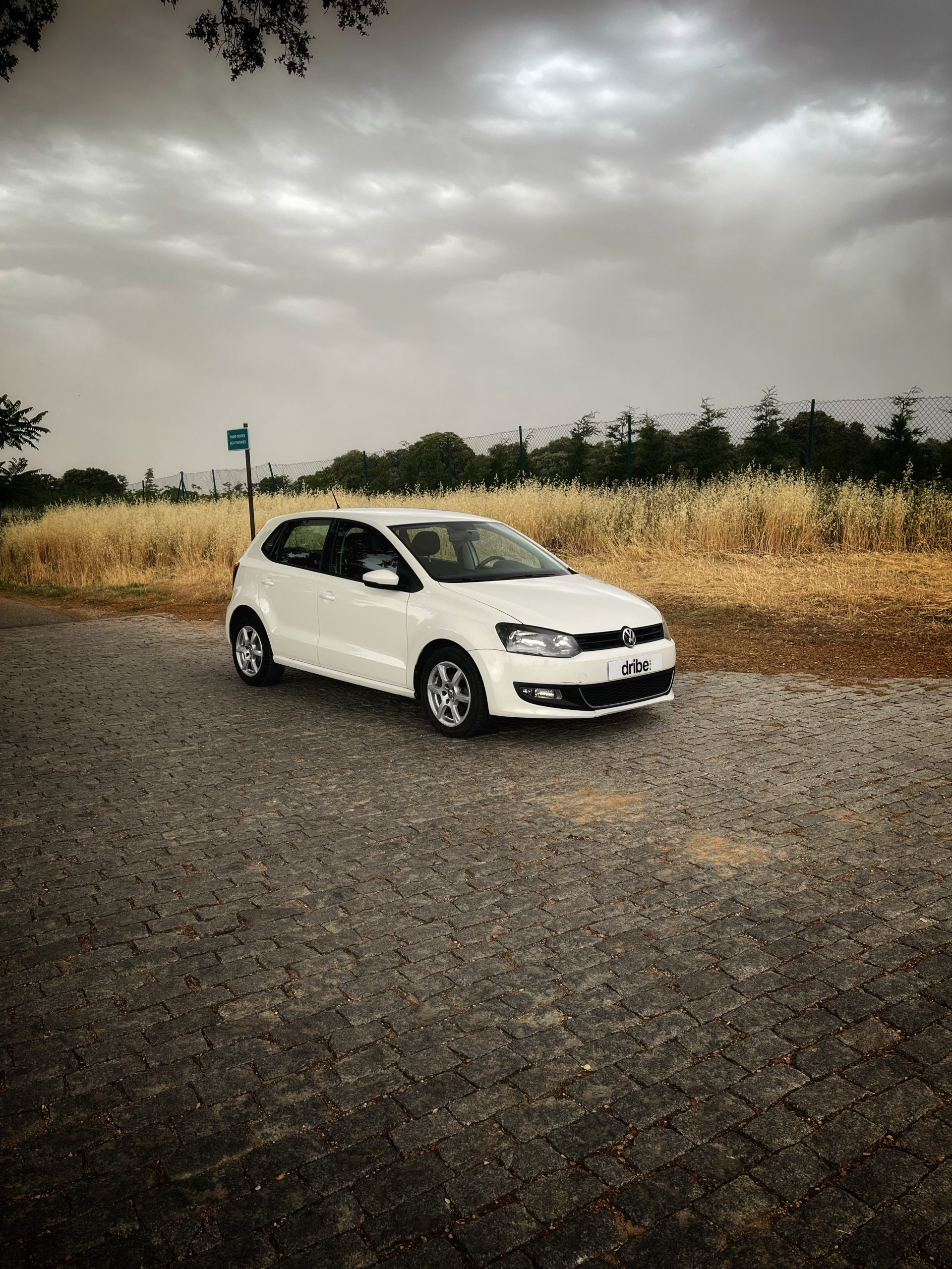 Volkswagen Polo Advance 1.2 TDI 75cv