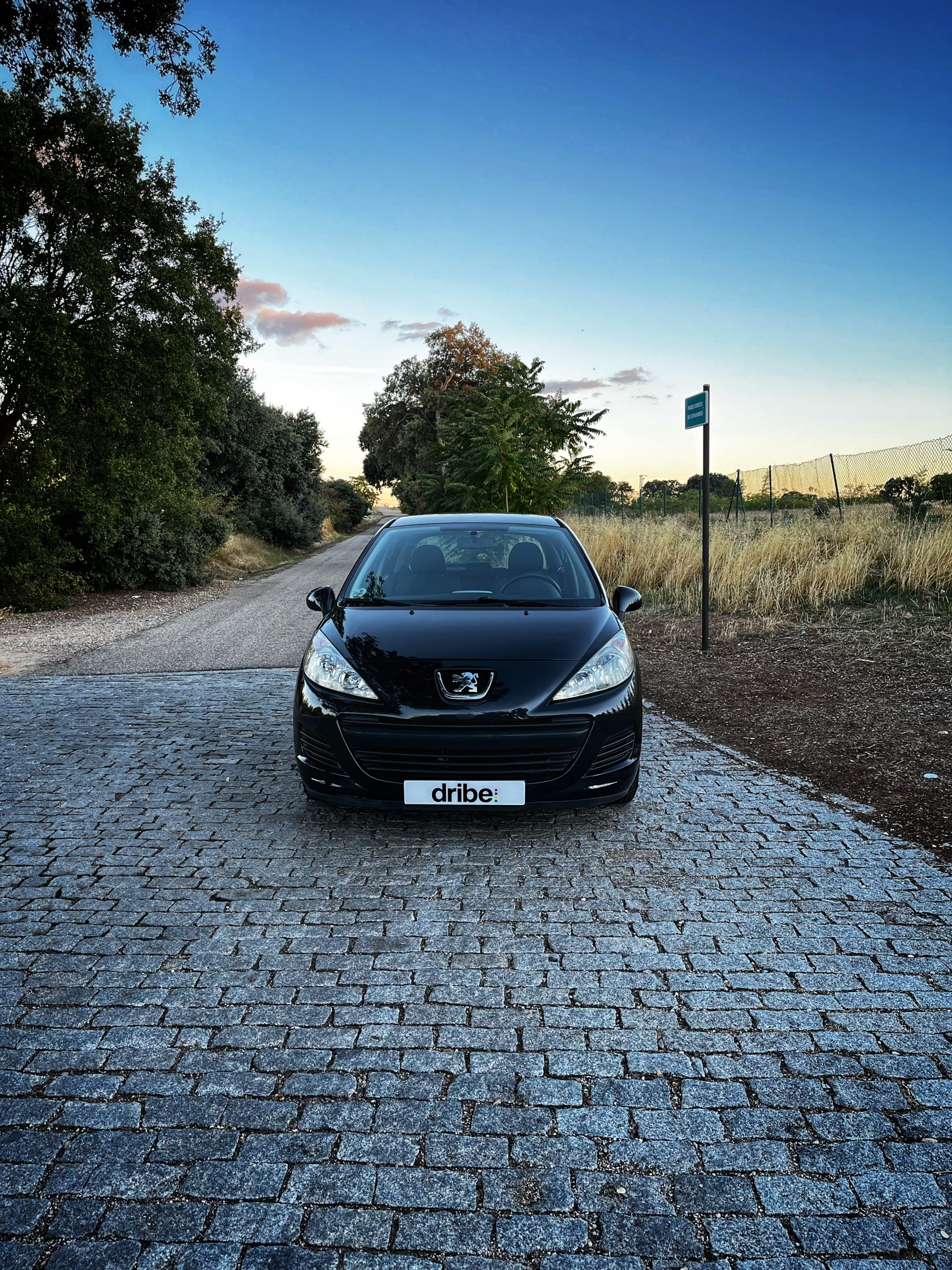 Peugeot 207 Confort 1.4 HDI 70cv