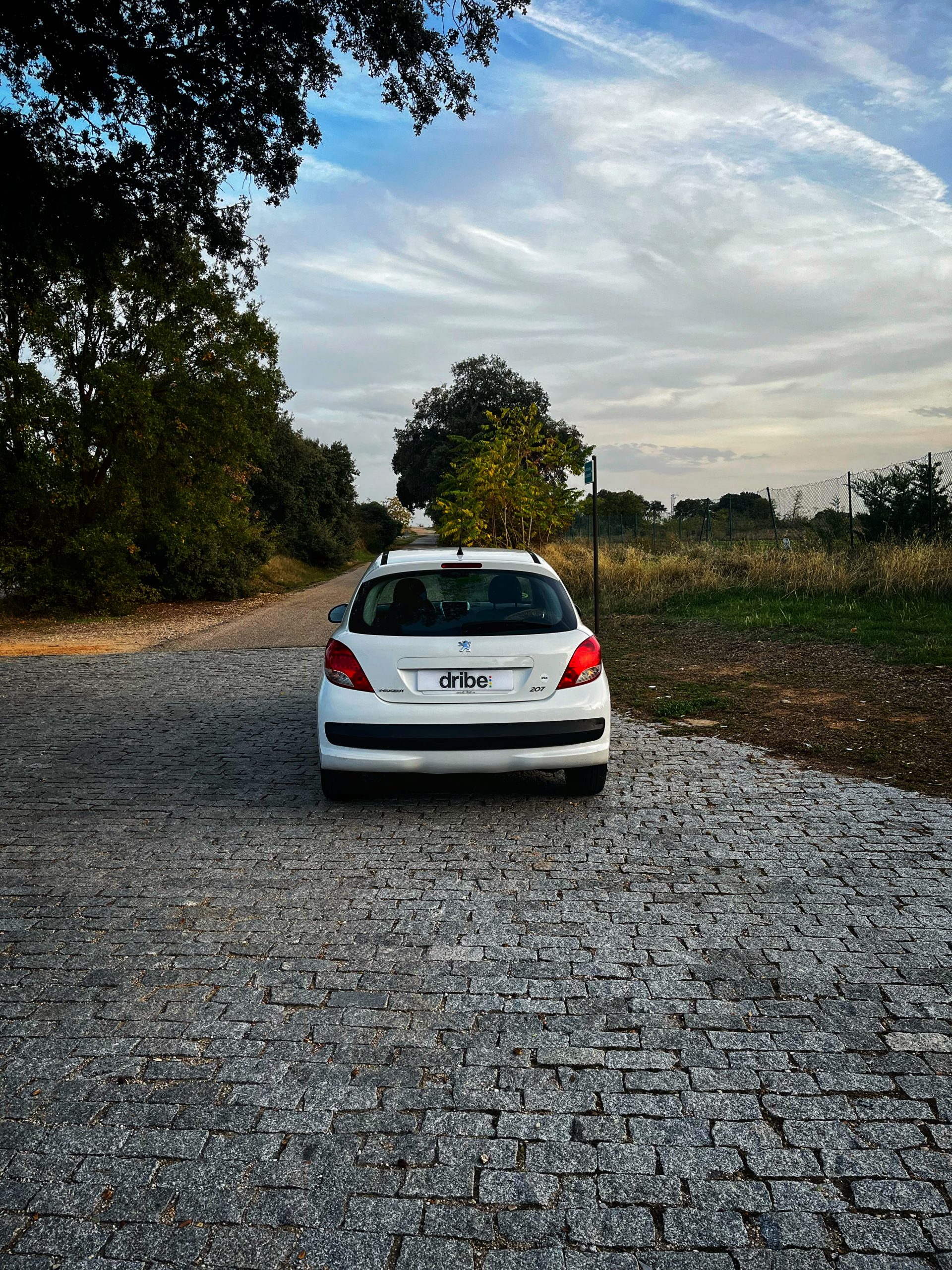Peugeot 207 Confort 1.4 HDI 70CV