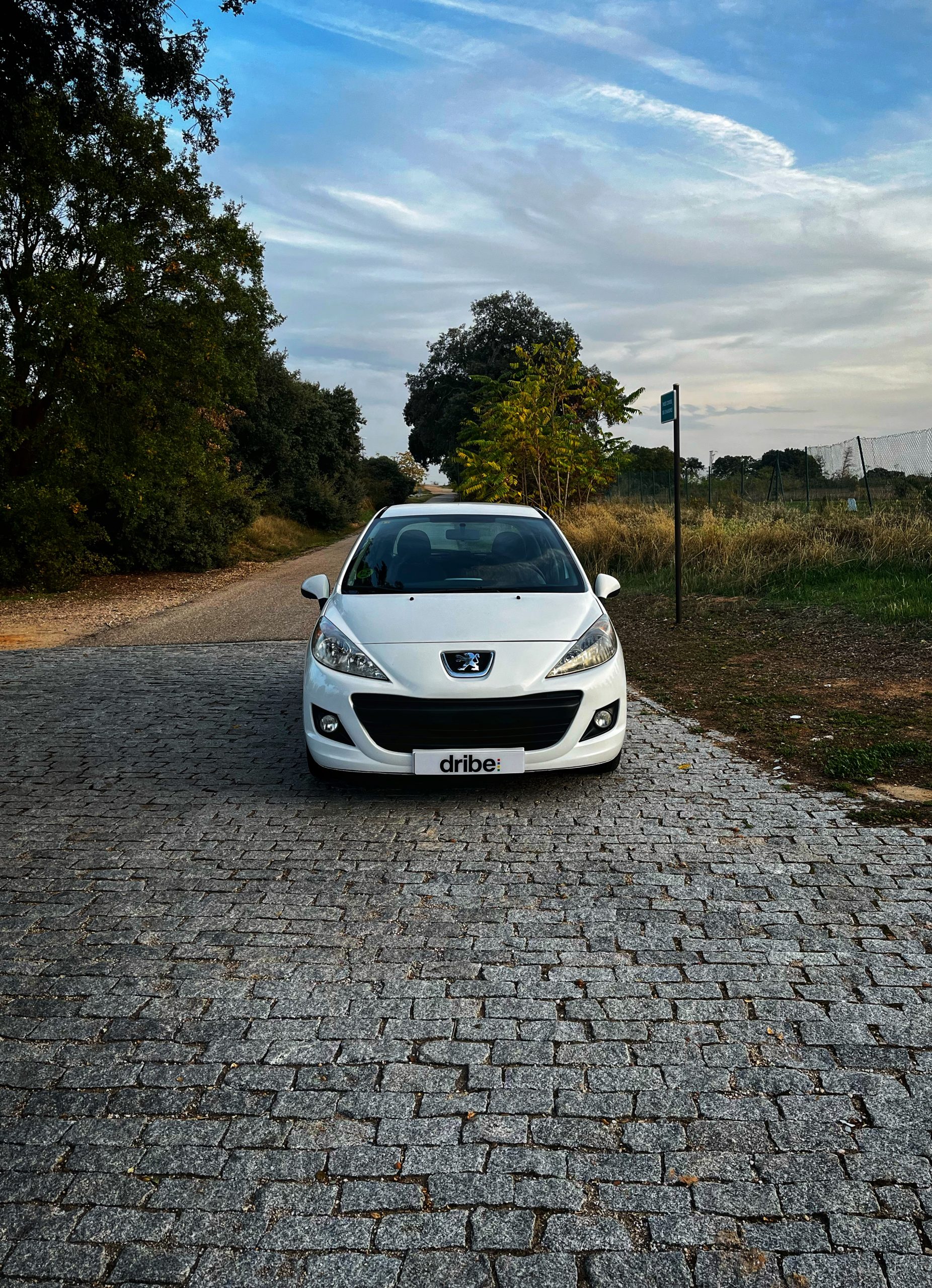 Peugeot 207 Confort 1.4 HDI 70CV