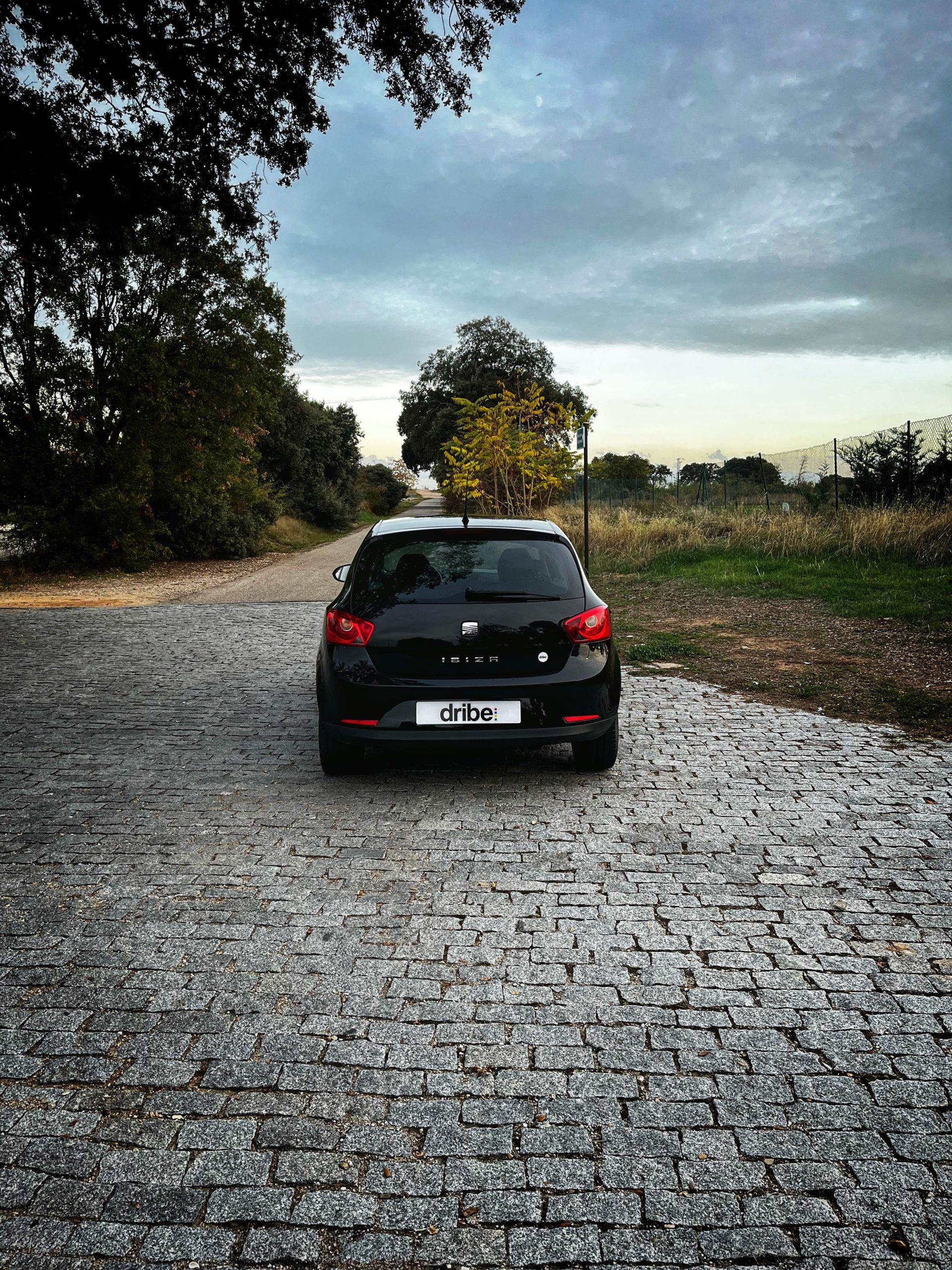 Seat Ibiza Good Stuff 1.6 TDI 90CV