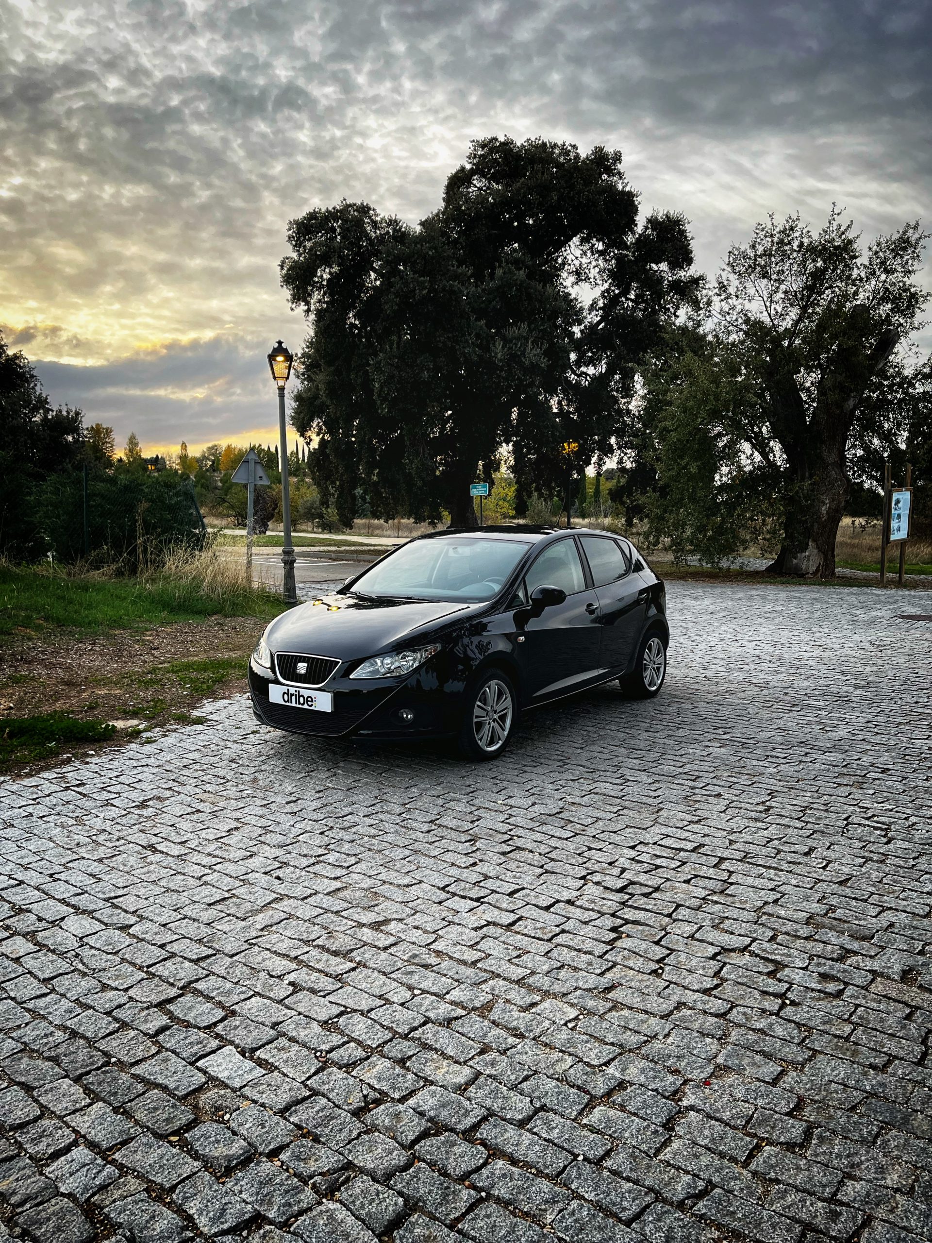 Seat Ibiza Good Stuff 1.6 TDI 90CV