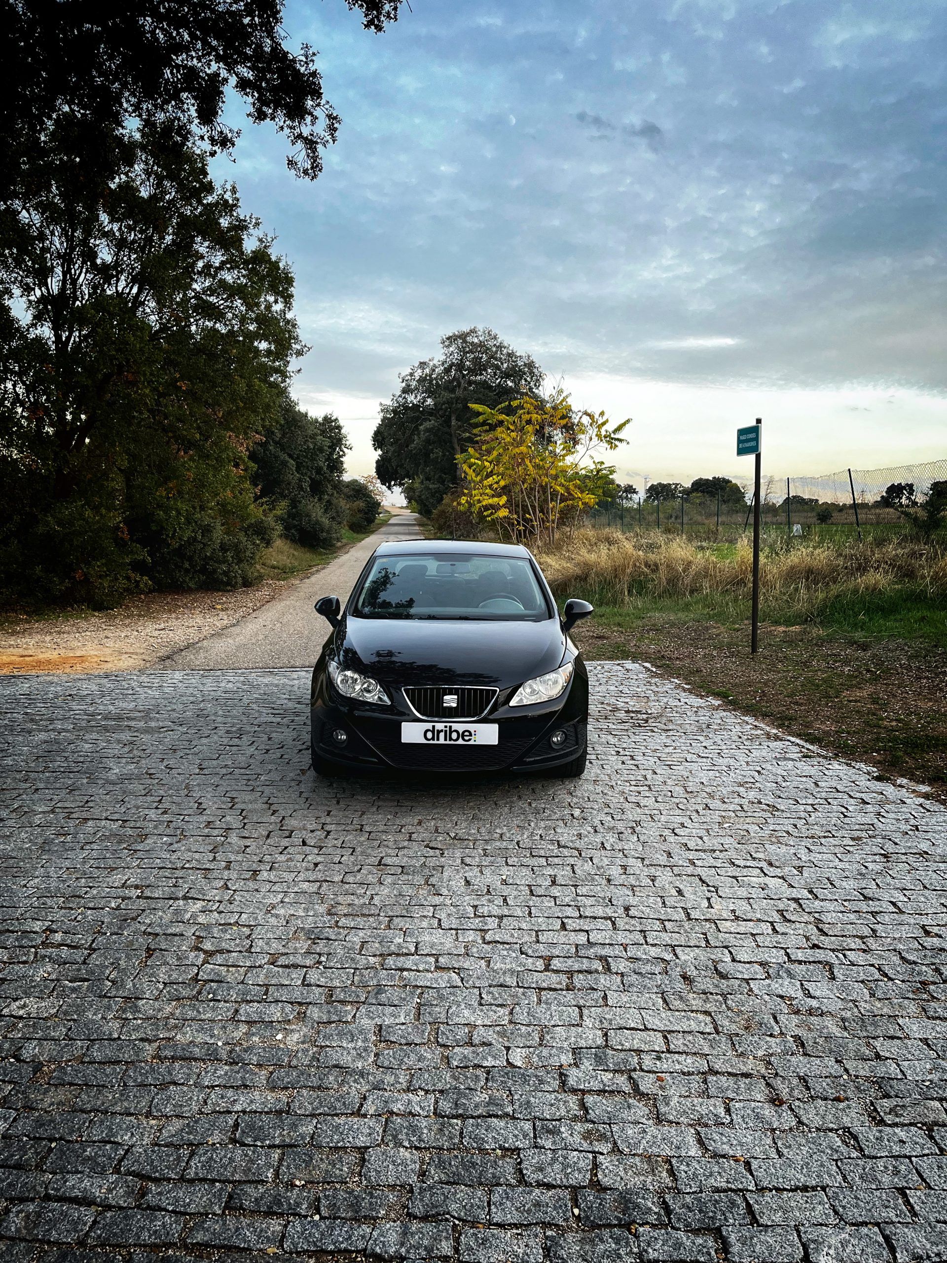 Seat Ibiza Good Stuff 1.6 TDI 90CV