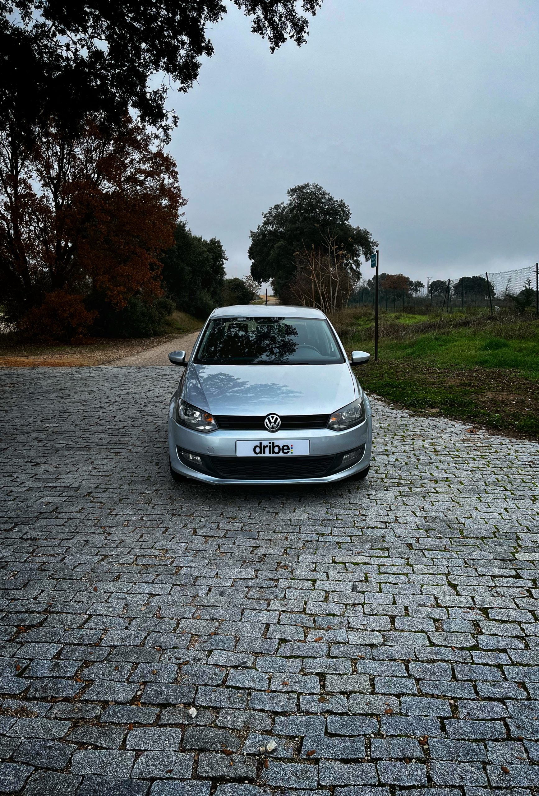 Volkswagen Polo Advance 1.6 TDI 90cv