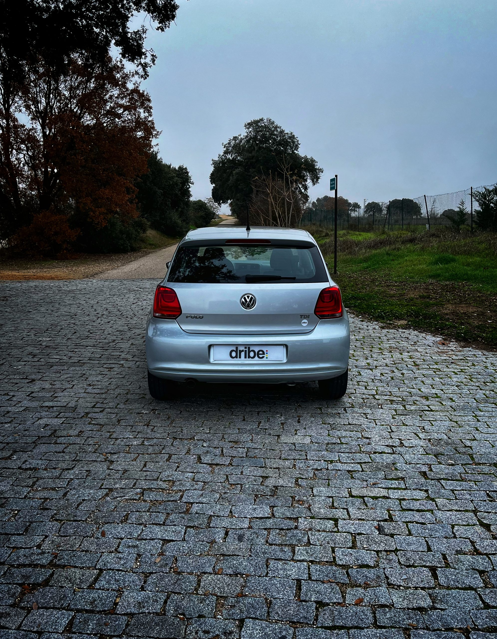 Volkswagen Polo Advance 1.6 TDI 90cv