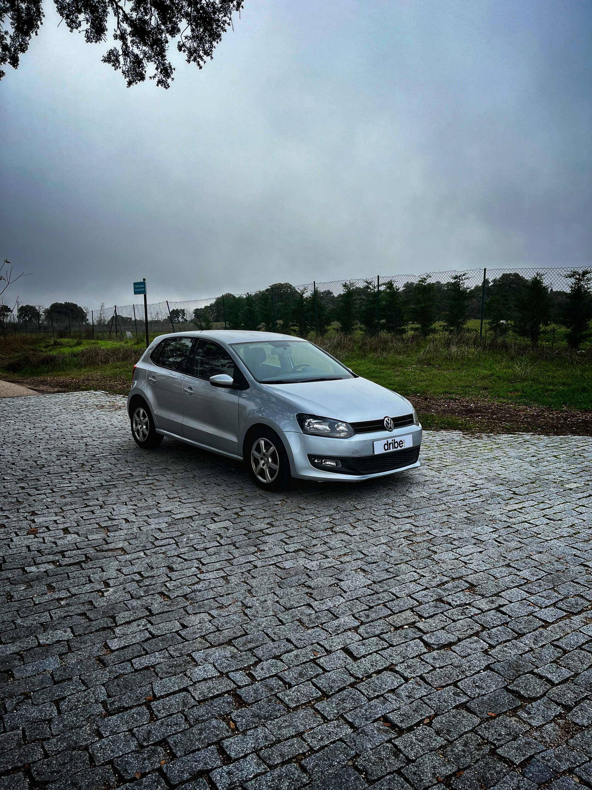 Volkswagen Polo Advance 1.6 TDI 90cv