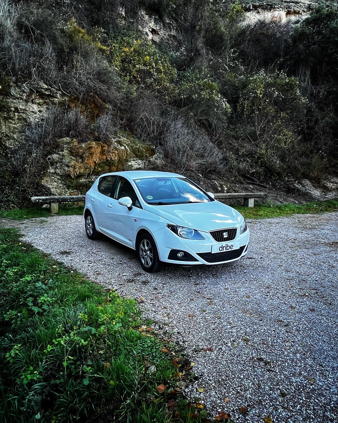 Seat Ibiza Copa 1.6 TDI 90cv