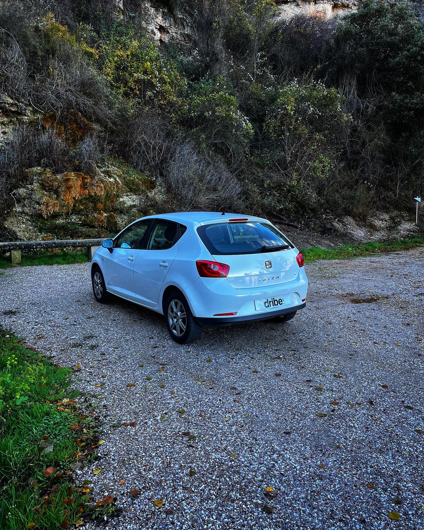 Seat Ibiza Copa 1.6 TDI 90cv
