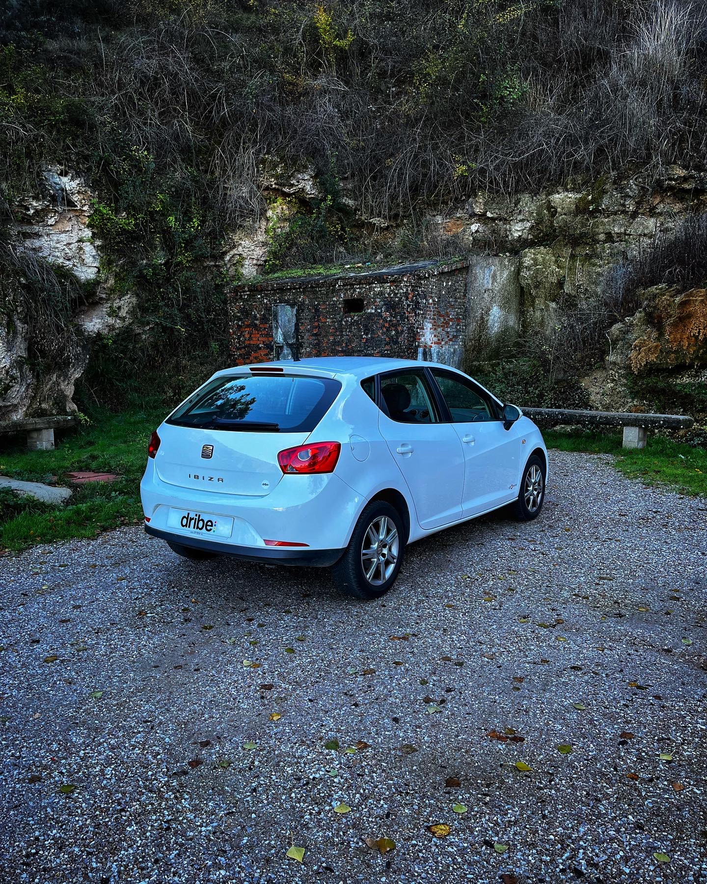 Seat Ibiza Copa 1.6 TDI 90cv