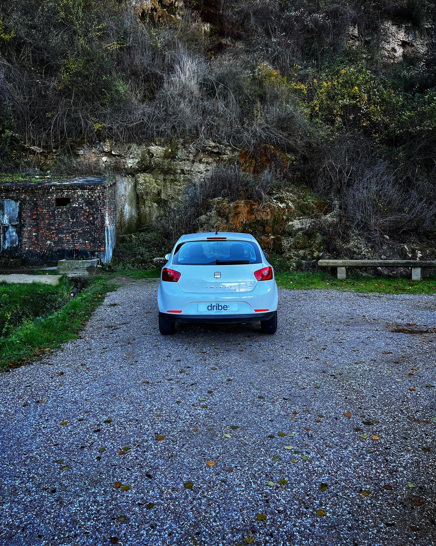 Seat Ibiza Copa 1.6 TDI 90cv