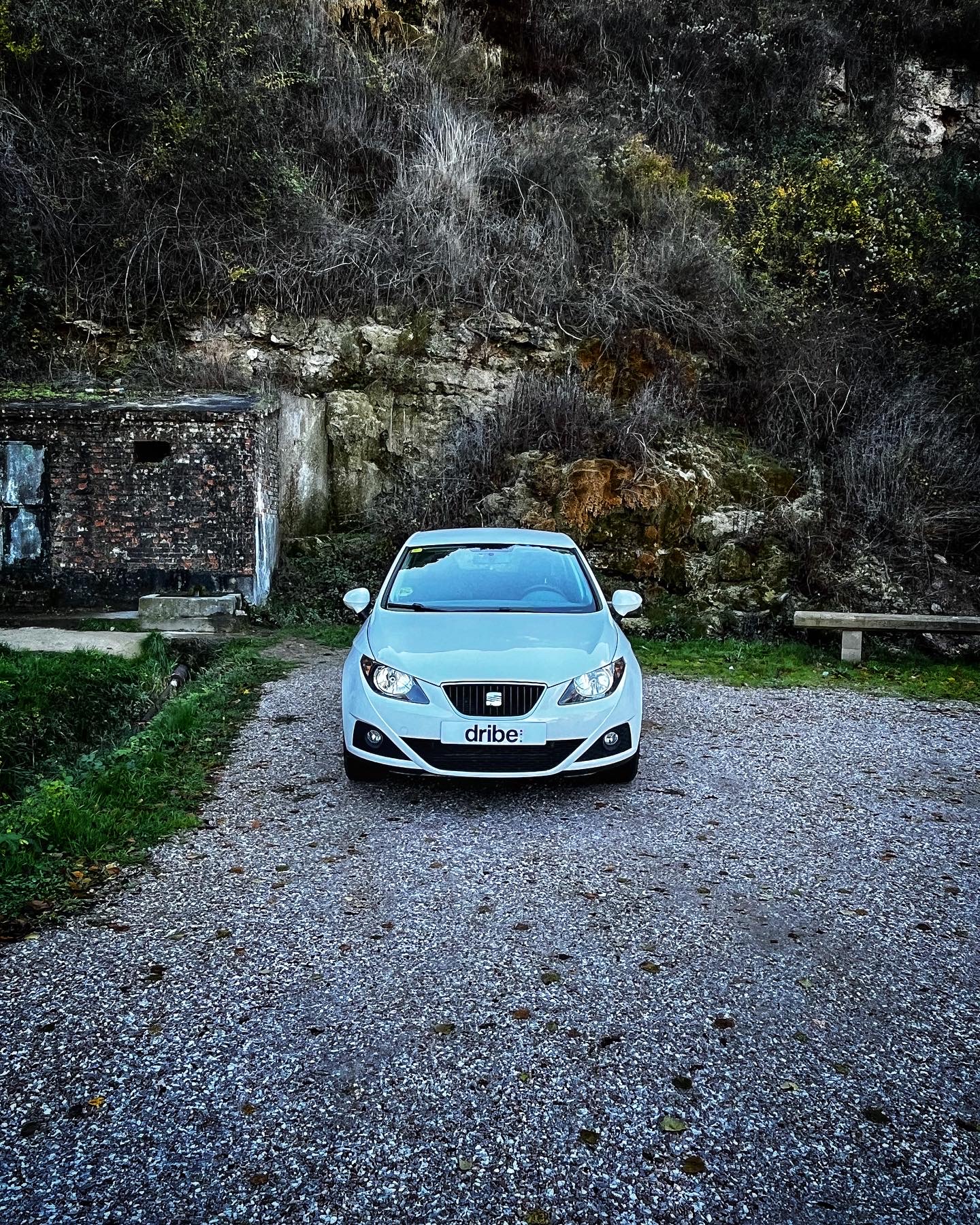 Seat Ibiza Copa 1.6 TDI 90cv