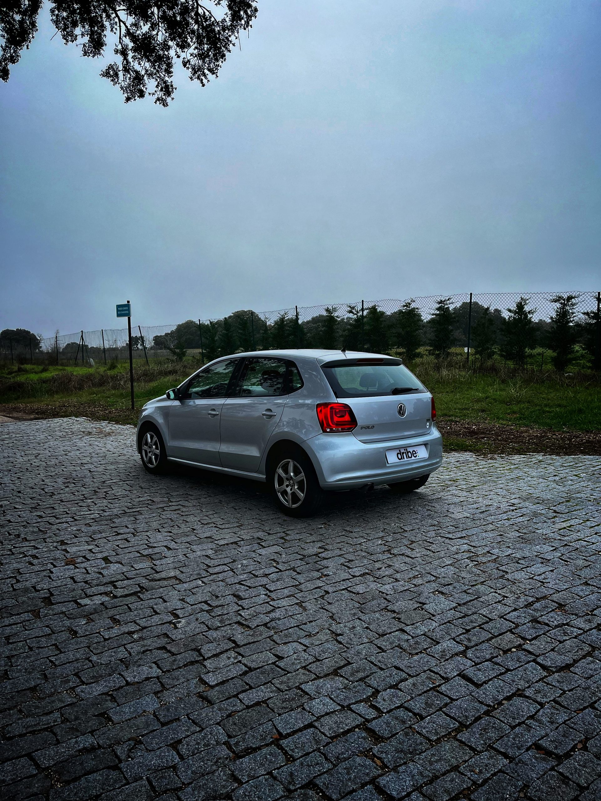 Volkswagen Polo Advance 1.6 TDI 90cv