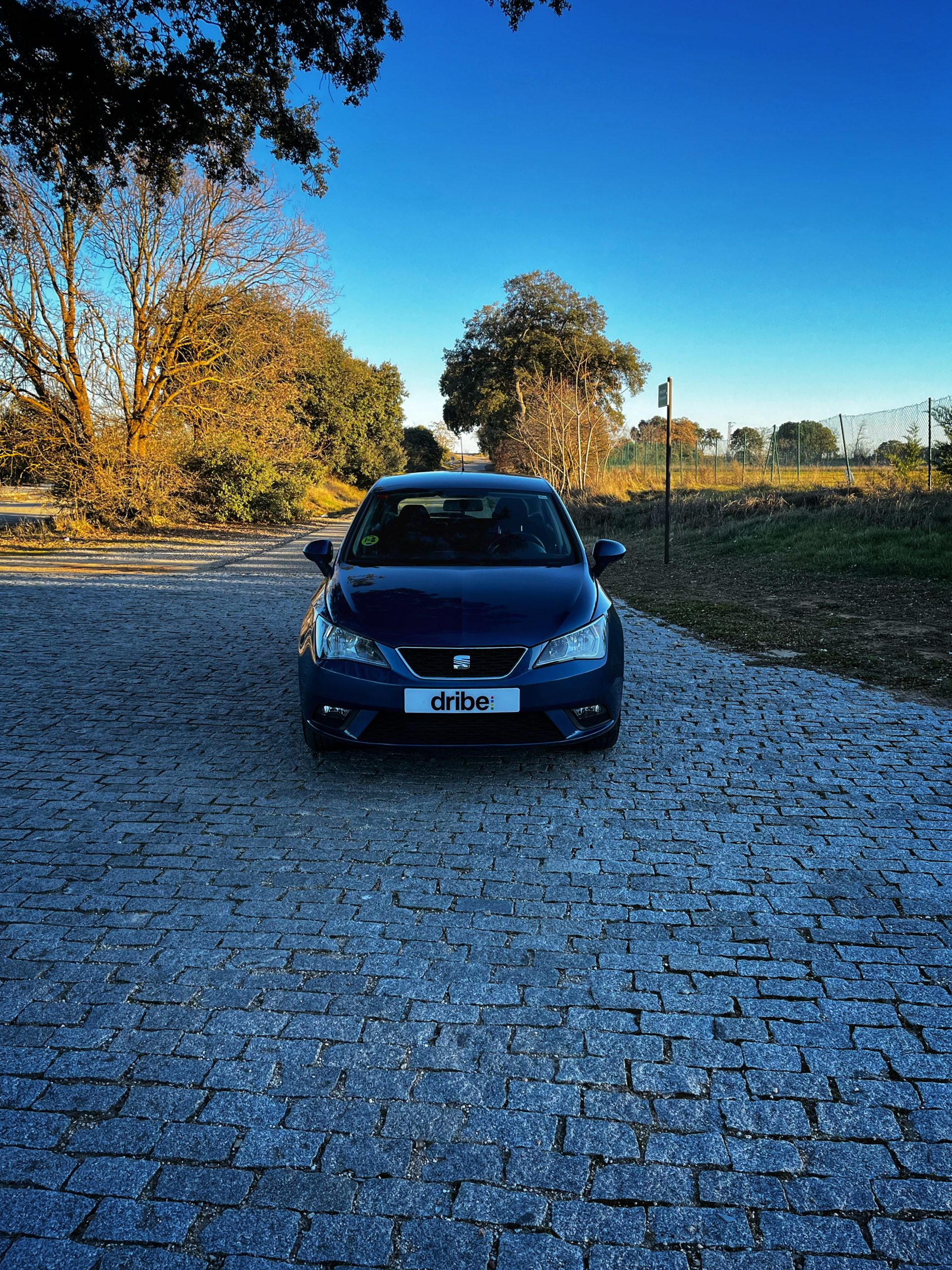 Seat Ibiza Style 1.6 TDI 105cv