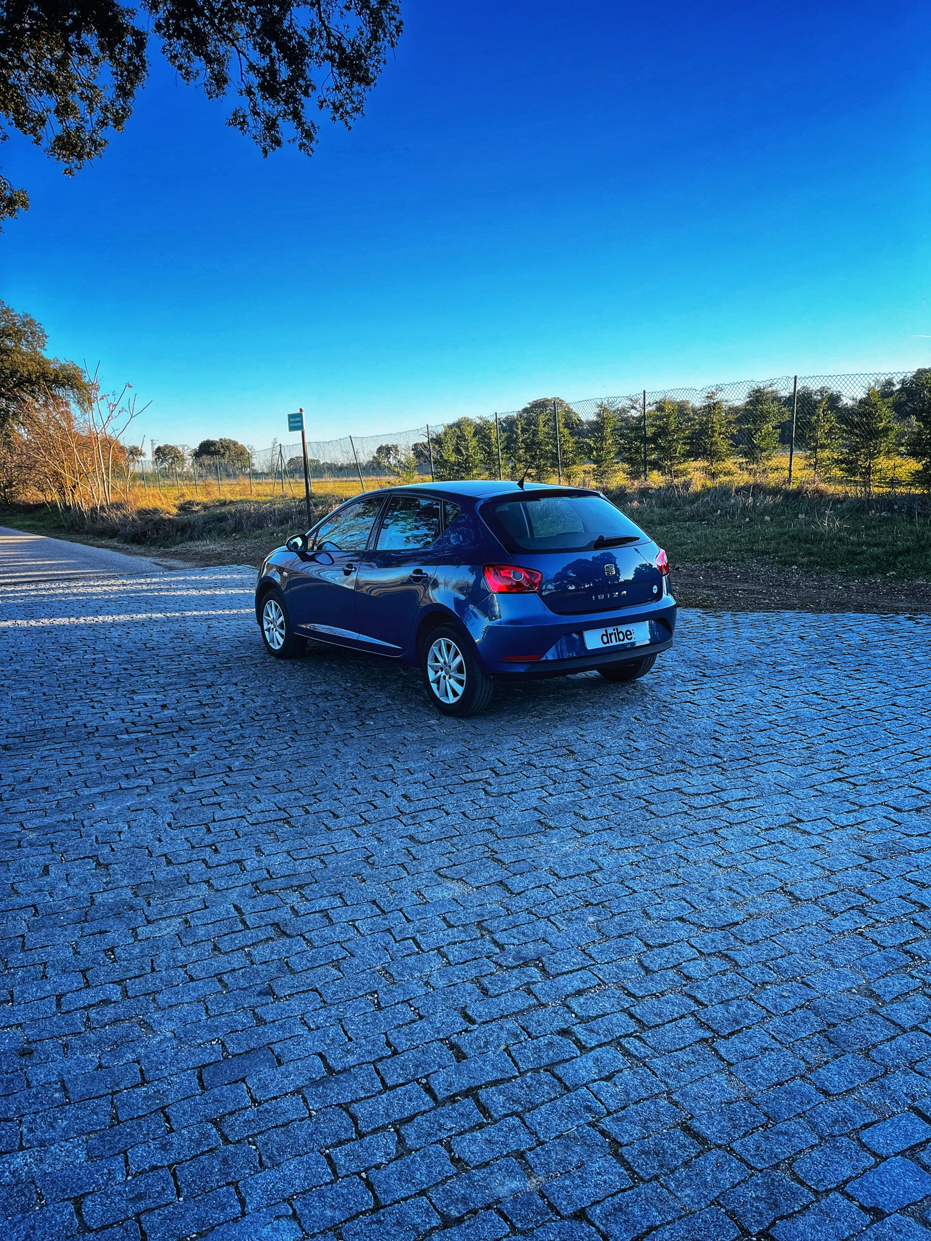 Seat Ibiza Style 1.6 TDI 105cv